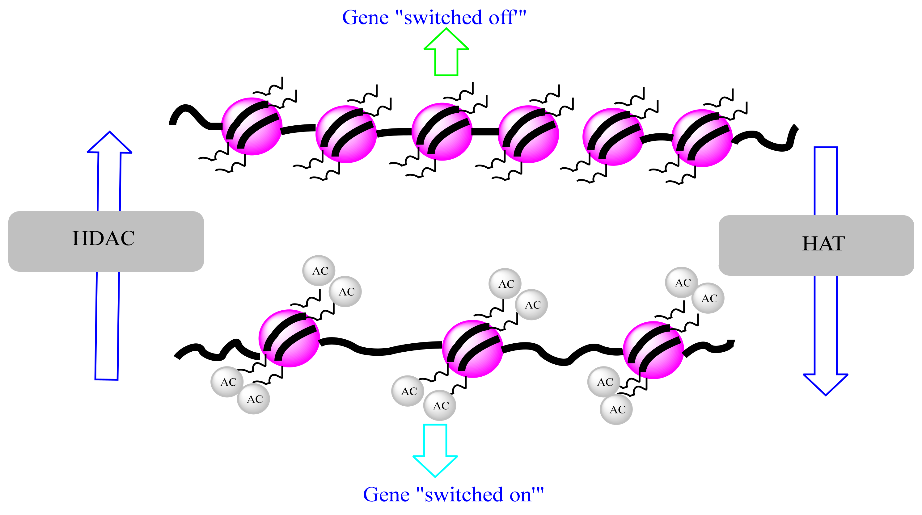 Biomolecules 12 00367 g004