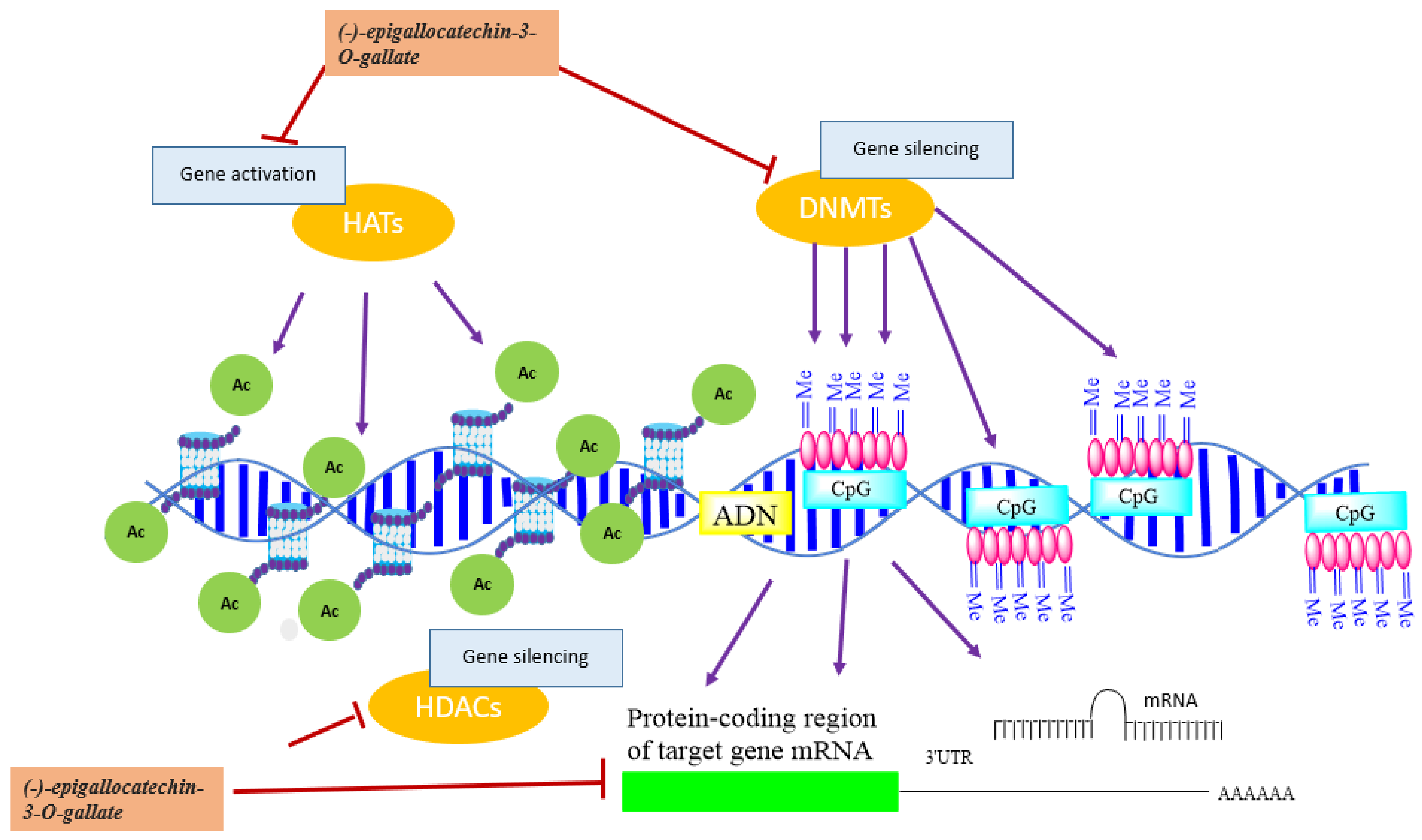 Biomolecules 12 00367 g005