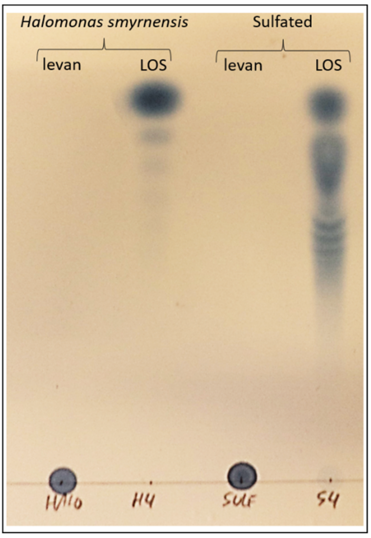 Biomolecules 12 00370 g003 Biomolecules 12 00370 g003