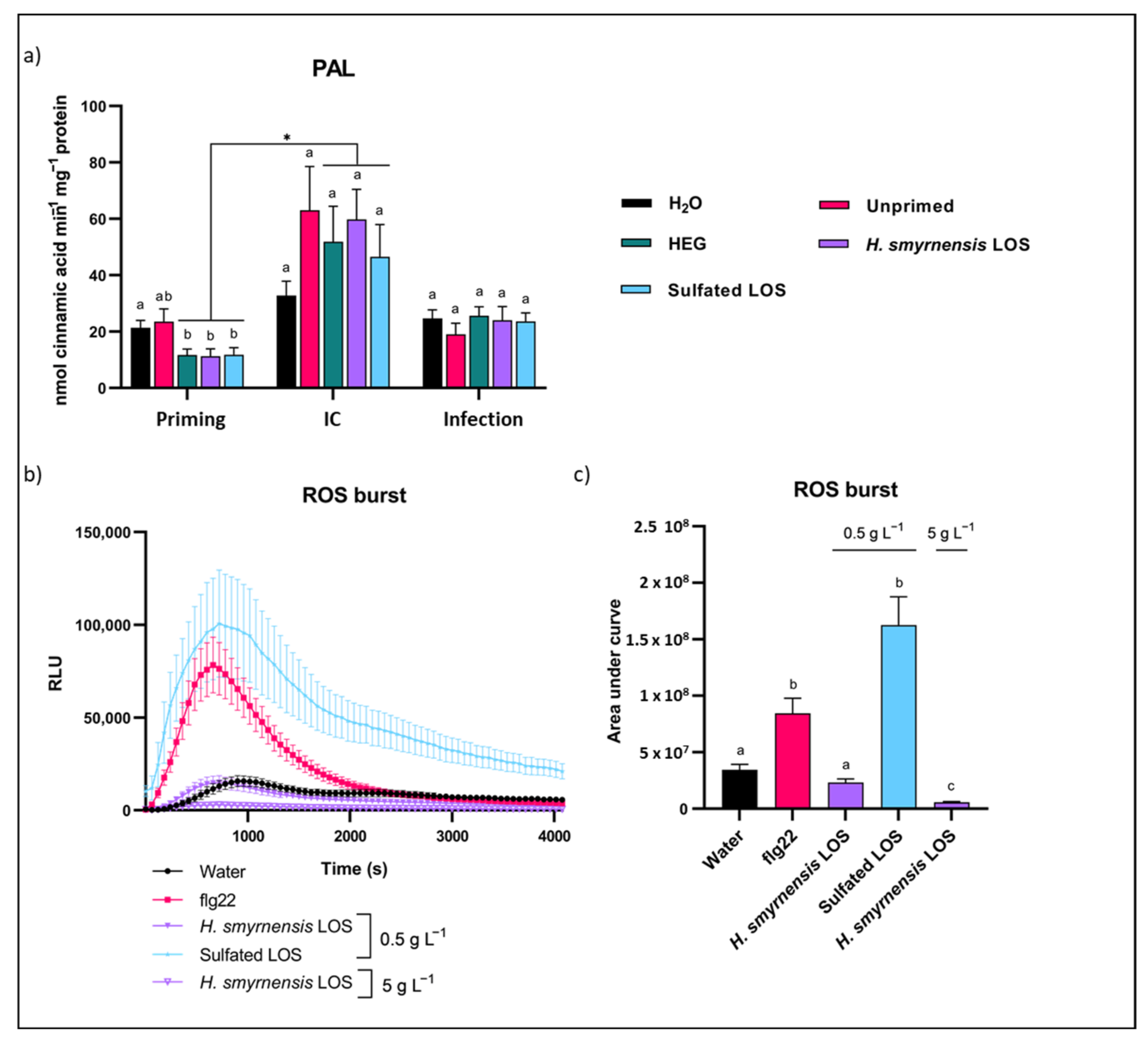 Biomolecules 12 00370 g007 Biomolecules 12 00370 g007