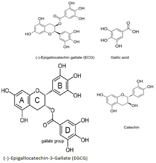 Epigallocatechin-3-Gallate (EGCG): New Therapeutic Epigallocatechin-3-Gallate (EGCG): New Therapeutic