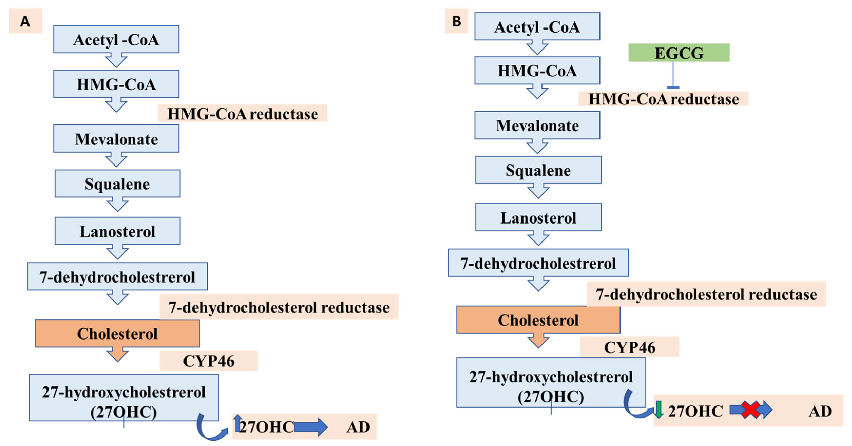 Biomolecules 12 00371 g005