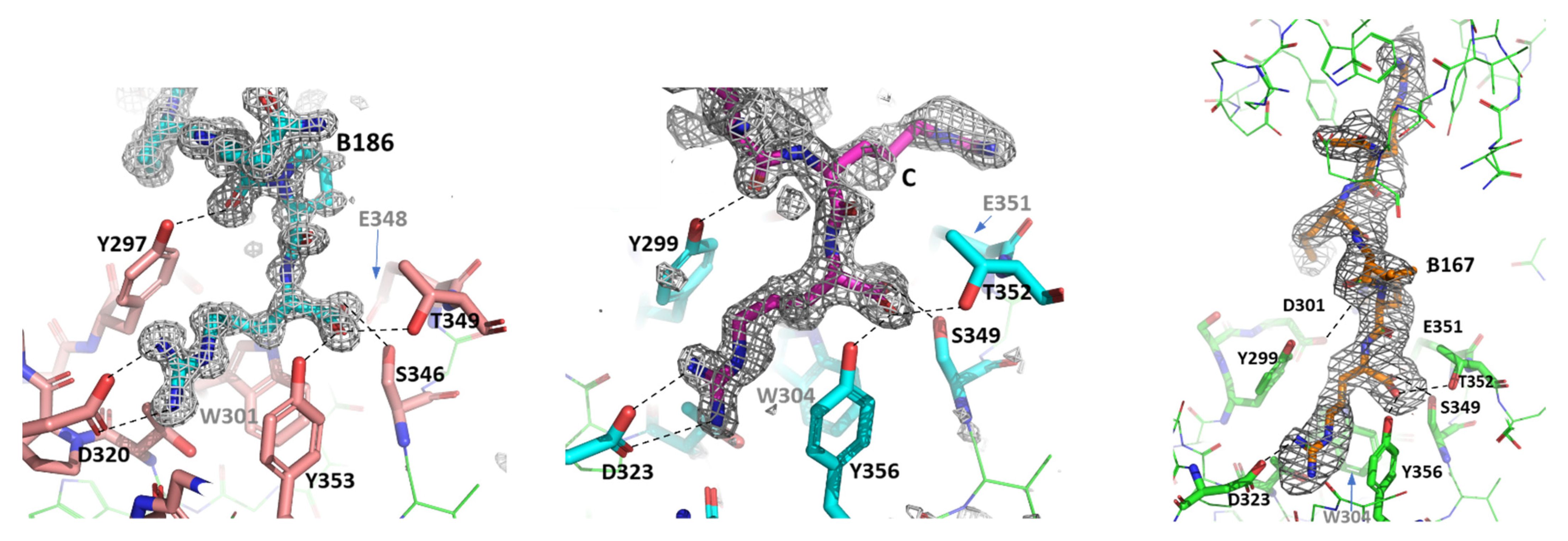 Biomolecules 12 00372 g001 Biomolecules 12 00372 g001