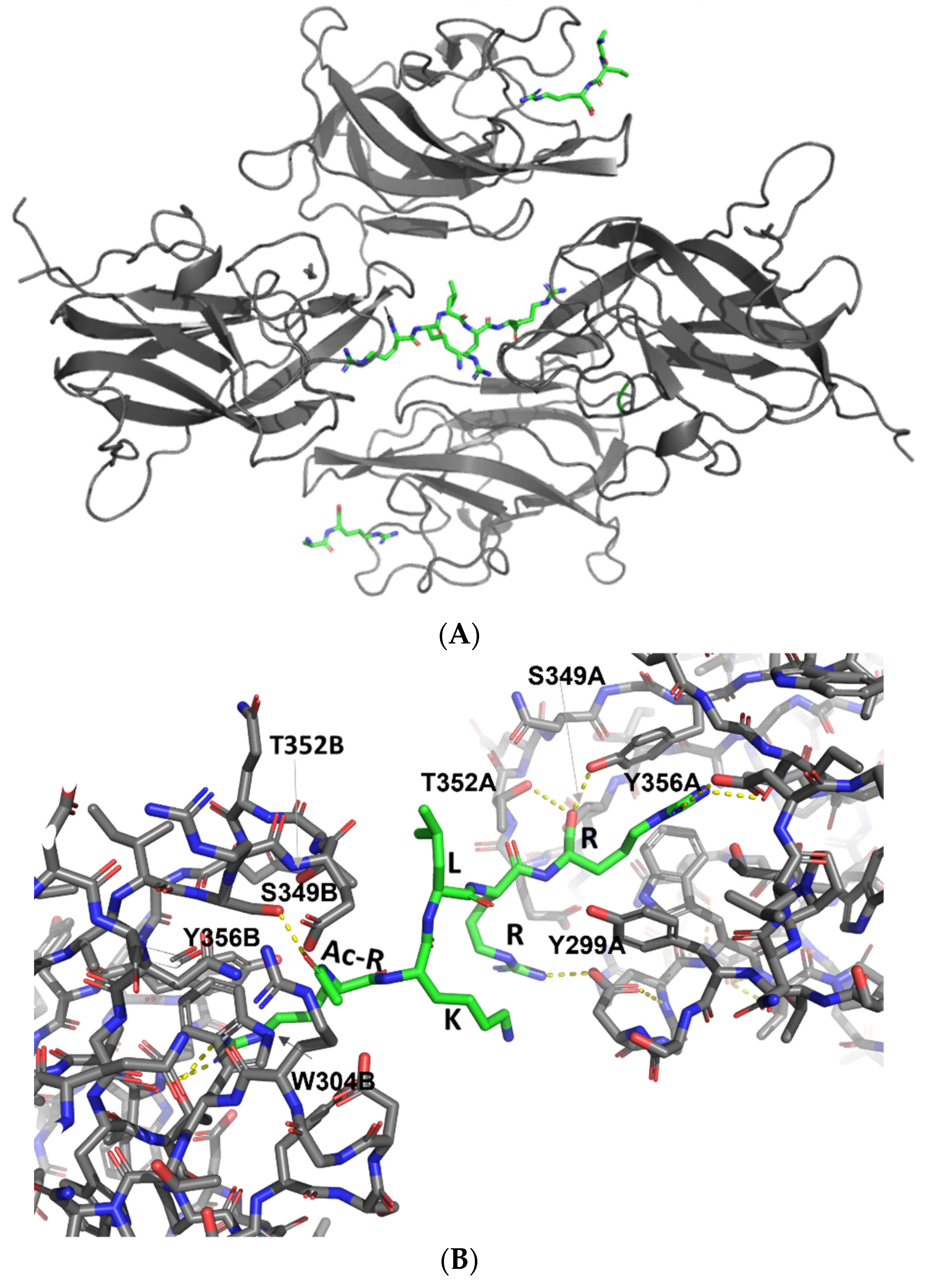 Biomolecules 12 00372 g002 Biomolecules 12 00372 g002
