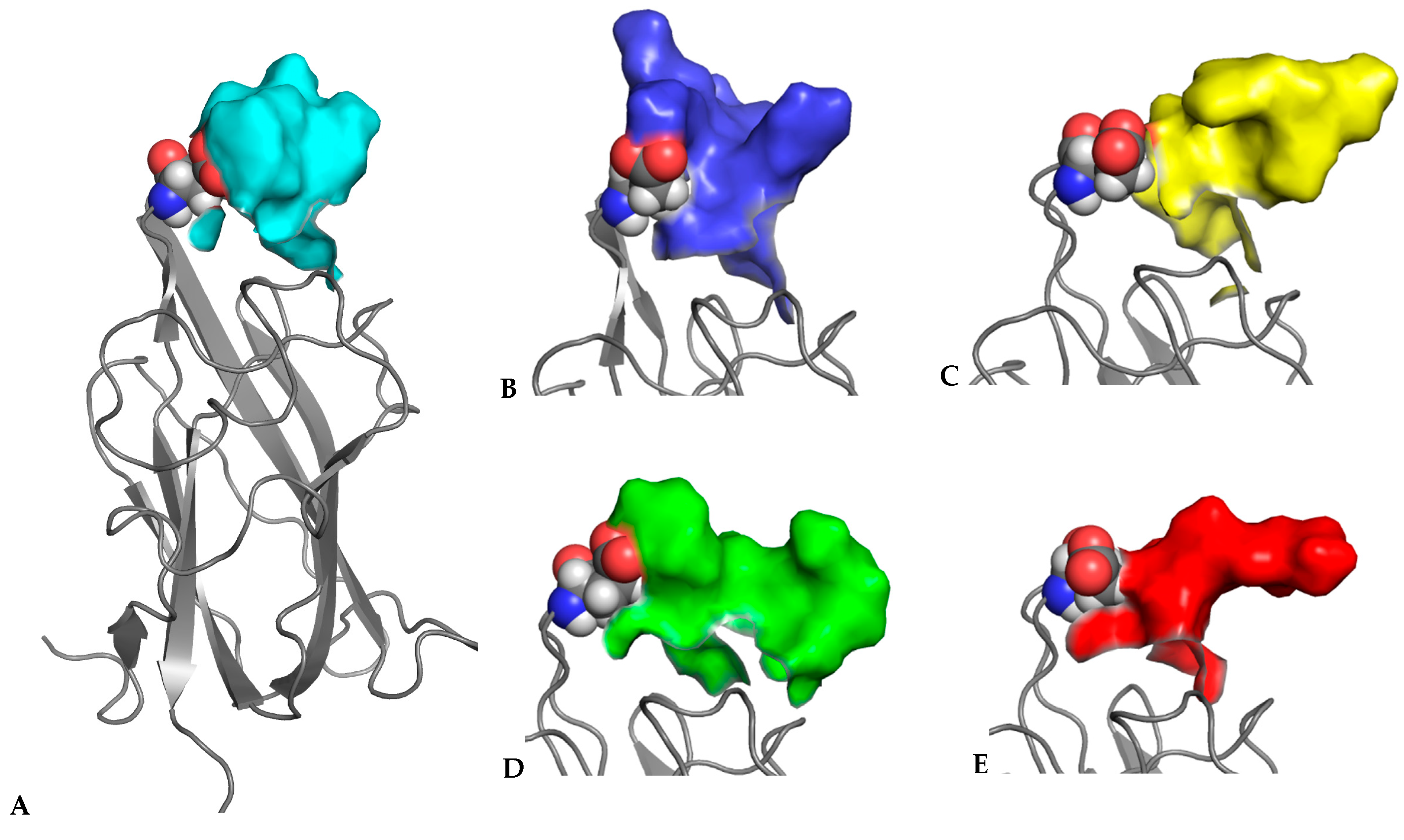 Biomolecules 12 00372 g003 Biomolecules 12 00372 g003