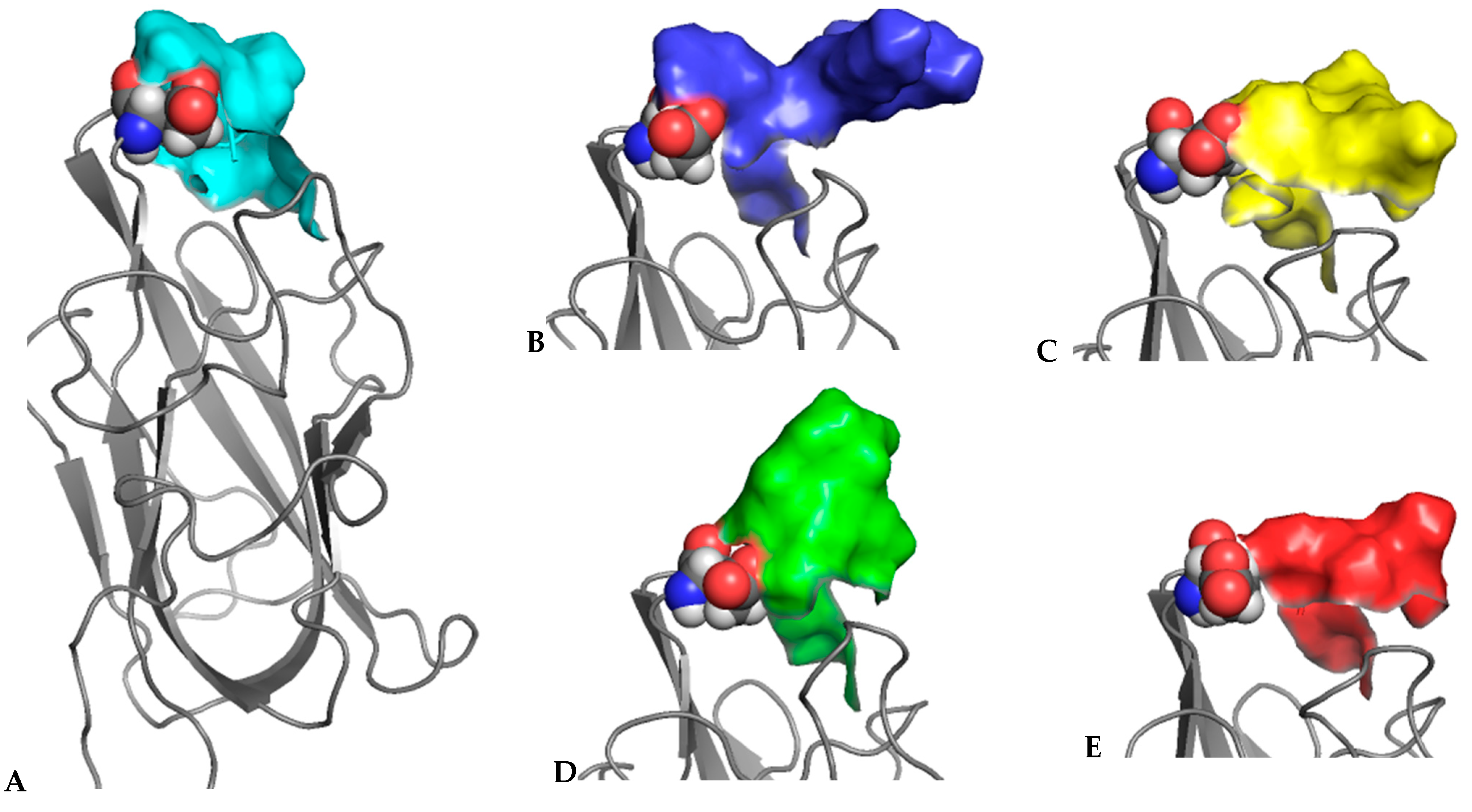 Biomolecules 12 00372 g005 Biomolecules 12 00372 g005