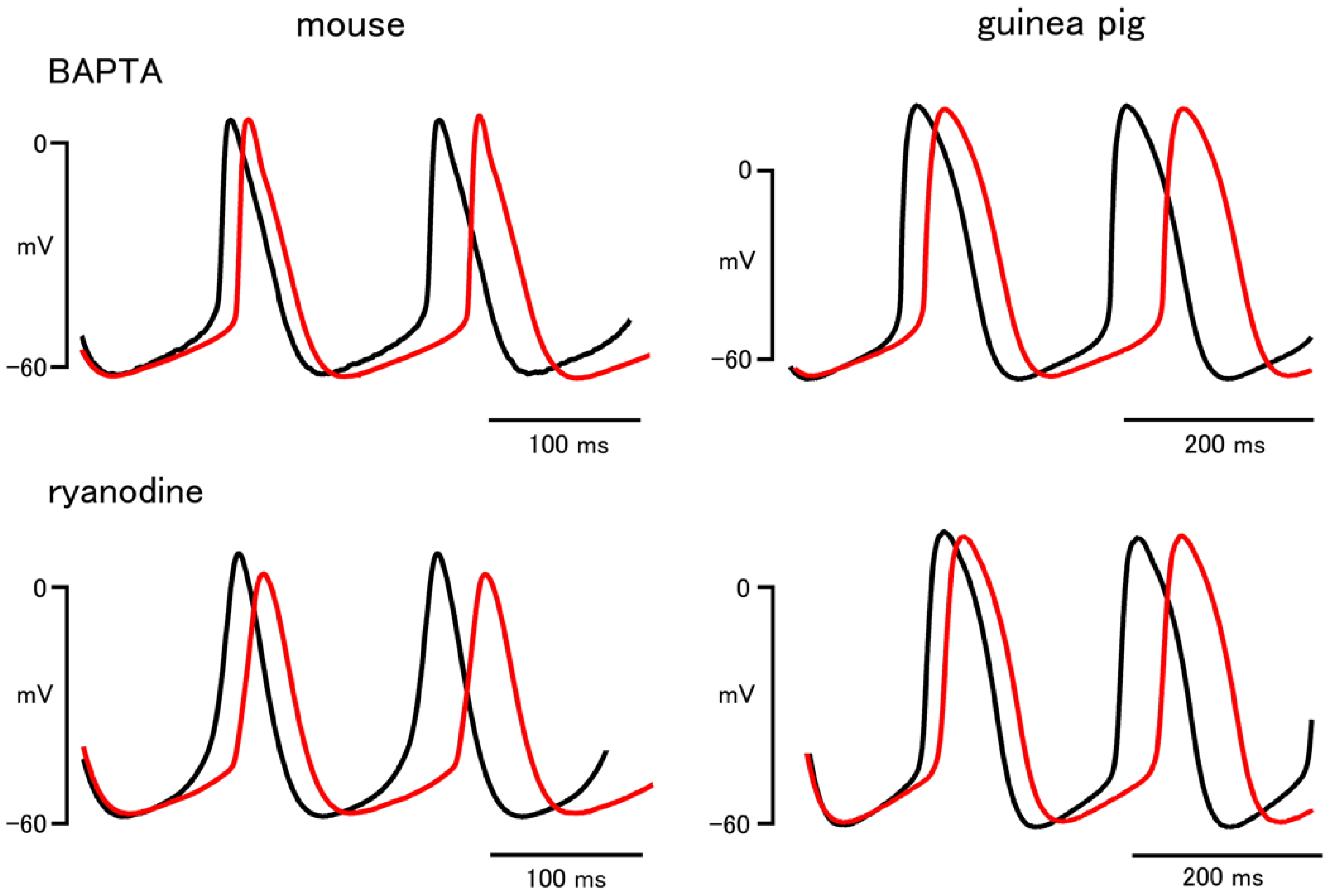 Biomolecules 12 00377 g001 Biomolecules 12 00377 g001