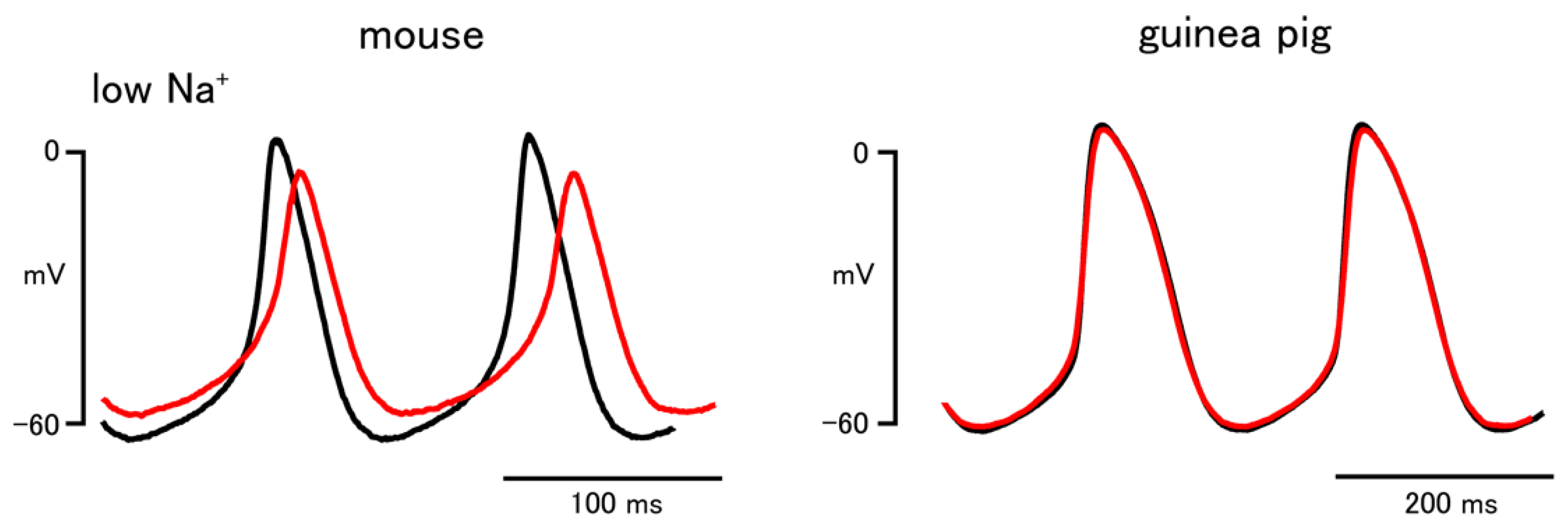 Biomolecules 12 00377 g003 Biomolecules 12 00377 g003