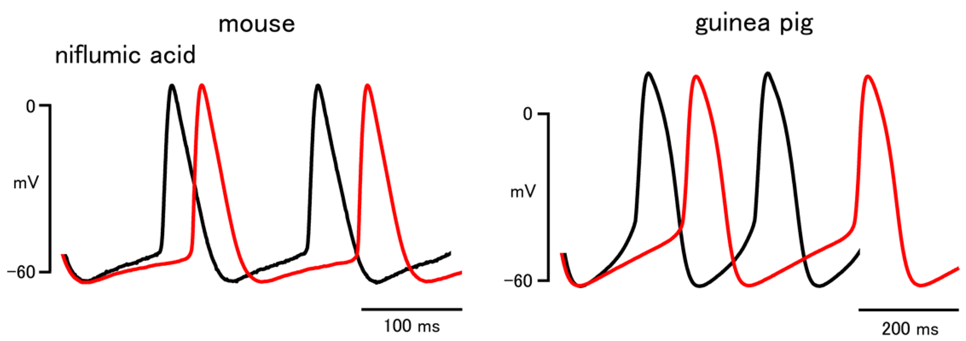 Biomolecules 12 00377 g004 Biomolecules 12 00377 g004