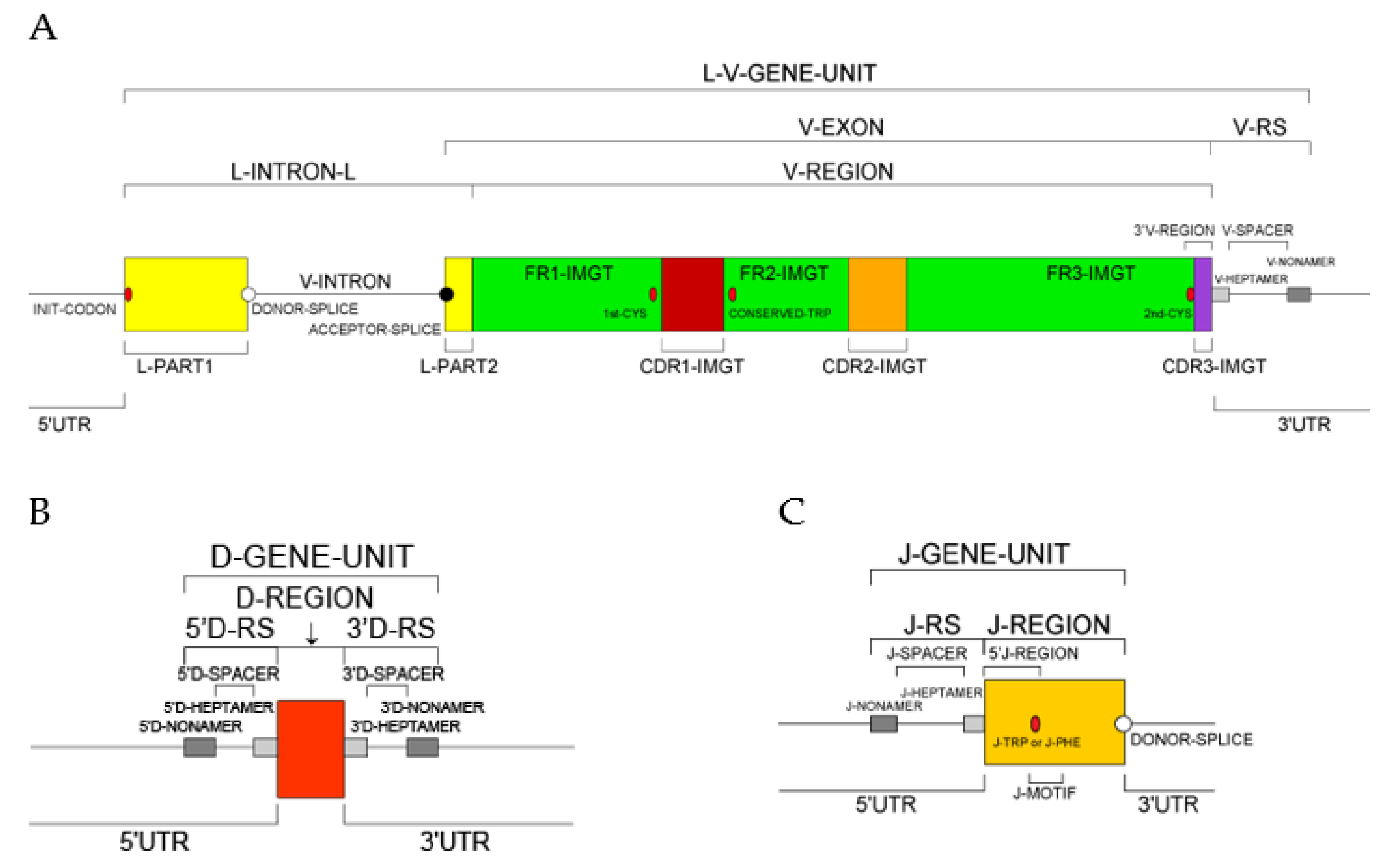 Biomolecules 12 00381 g002