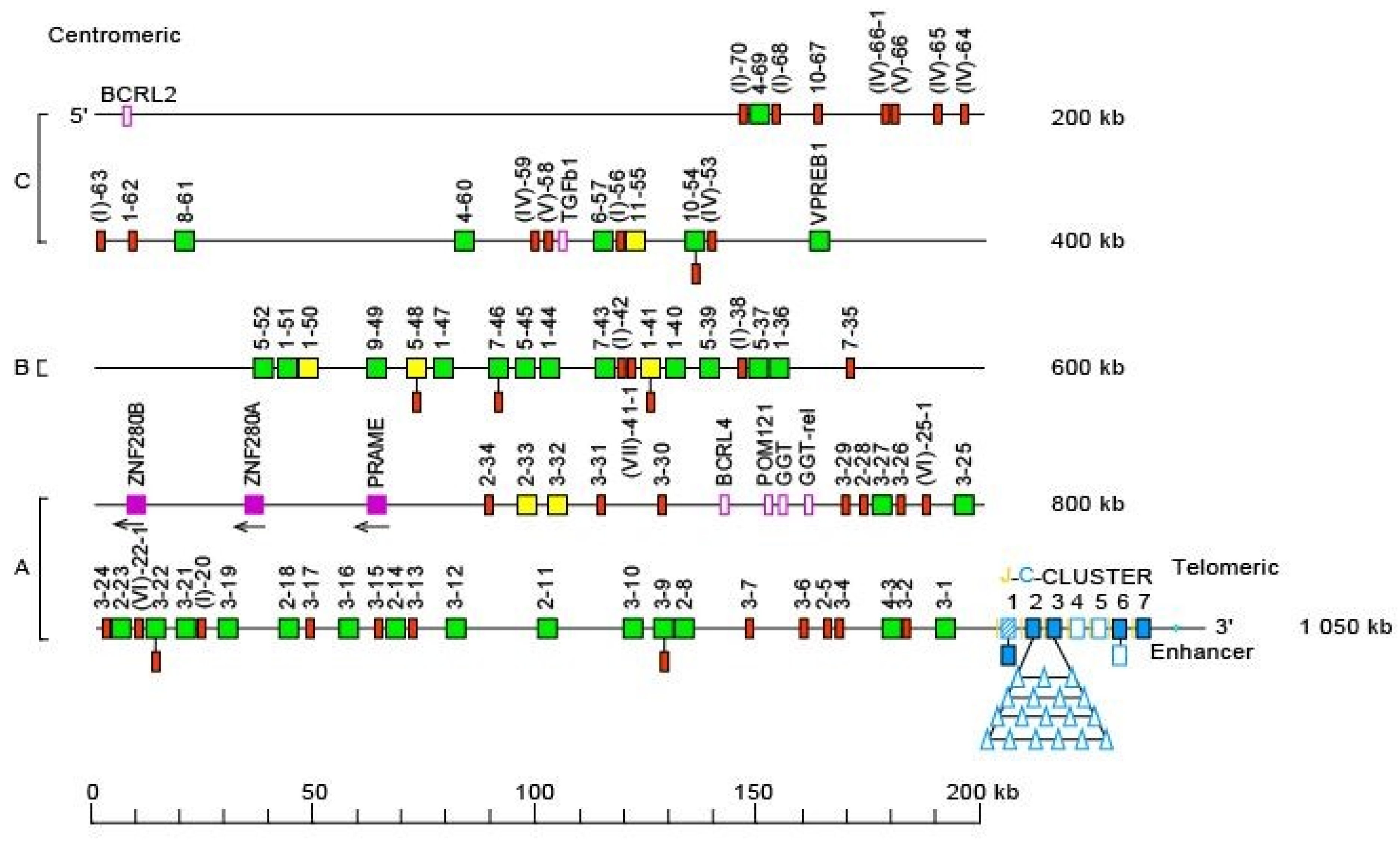 Biomolecules 12 00381 g008