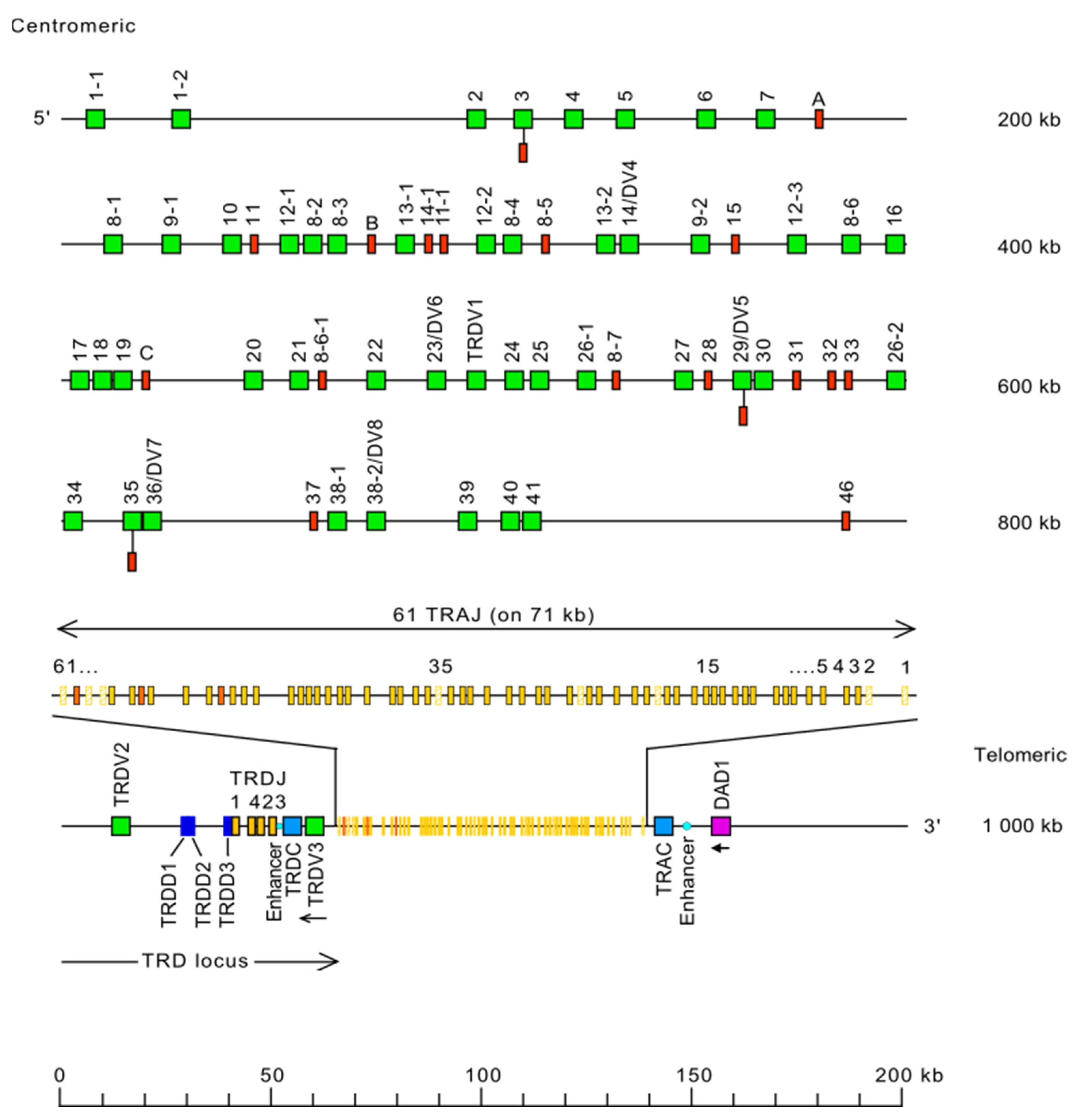 Biomolecules 12 00381 g010
