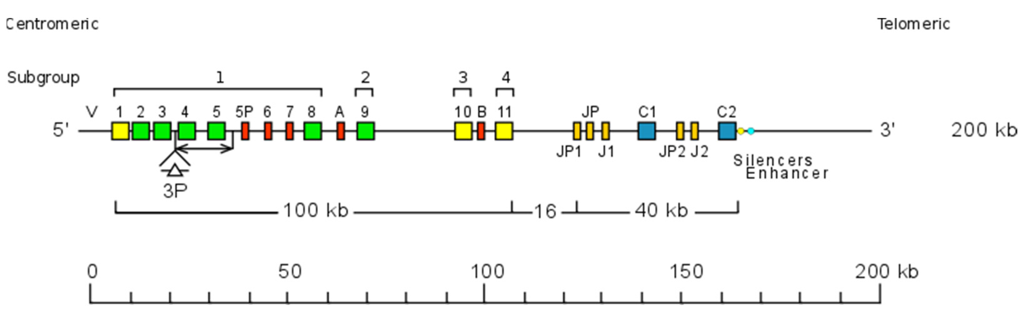 Biomolecules 12 00381 g011