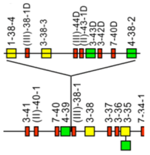 Biomolecules 12 00381 i002