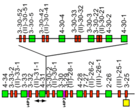 Biomolecules 12 00381 i003