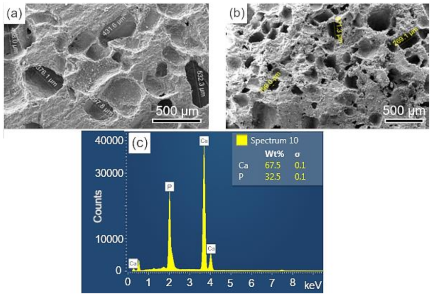 Biomolecules 12 00383 g004 550