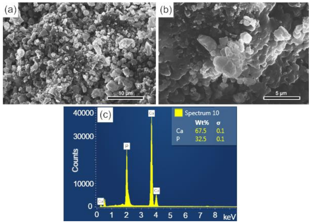 Biomolecules 12 00383 g007 550