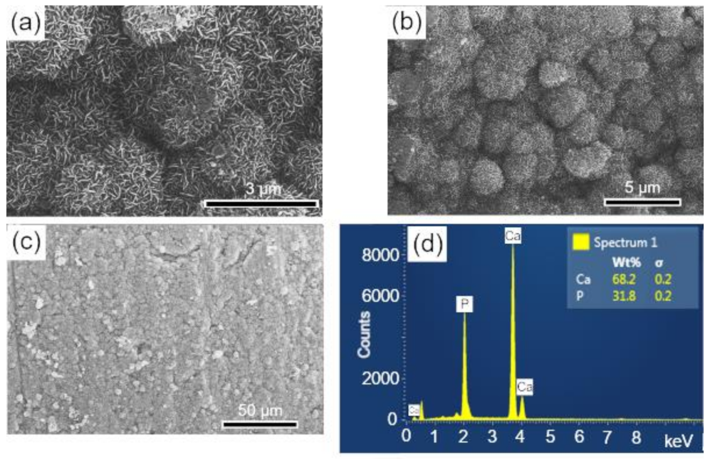 Biomolecules 12 00383 g008 550