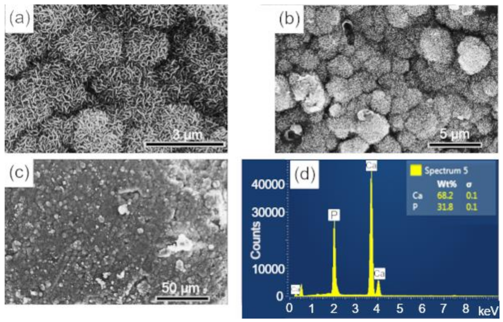 Biomolecules 12 00383 g009 550
