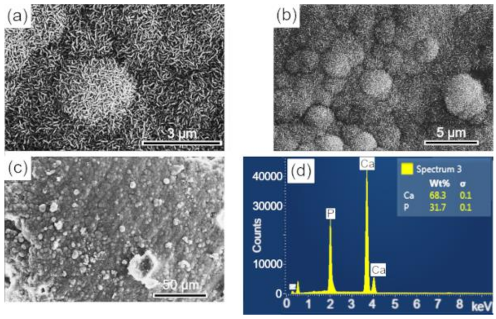 Biomolecules 12 00383 g010 550