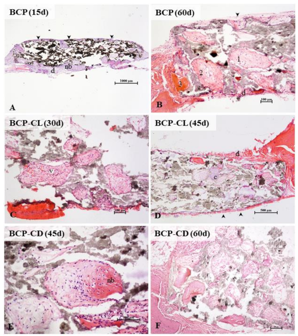 Biomolecules 12 00383 g012 550