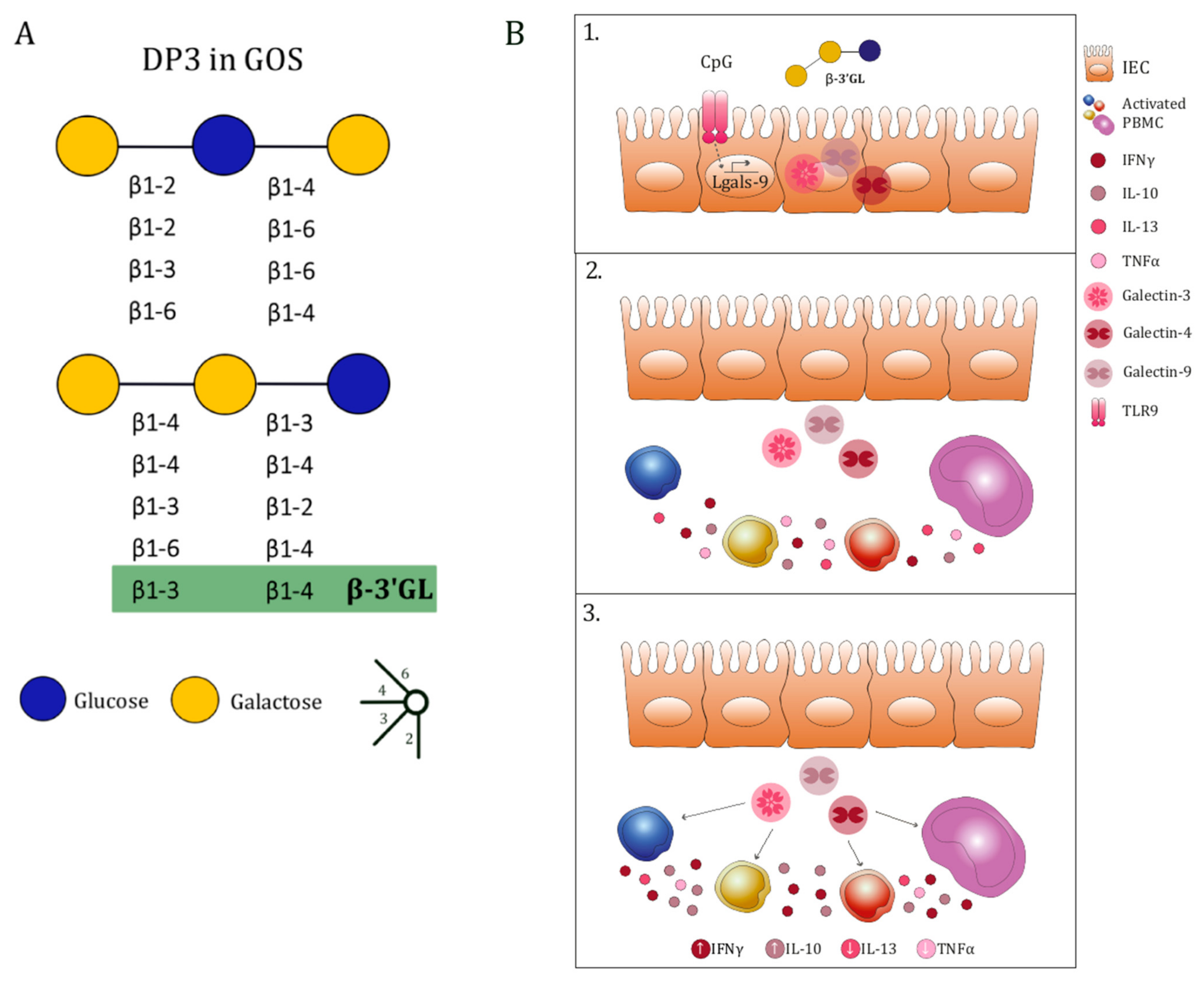Biomolecules 12 00384 g007