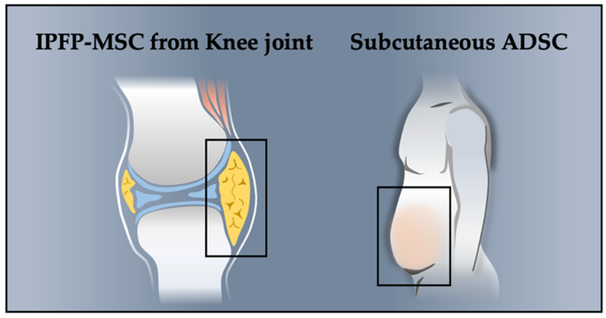 Biomolecules 12 00386 g001