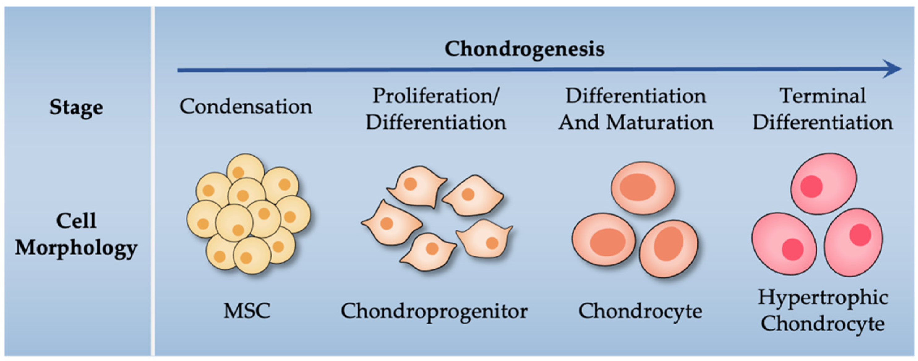 Biomolecules 12 00386 g002