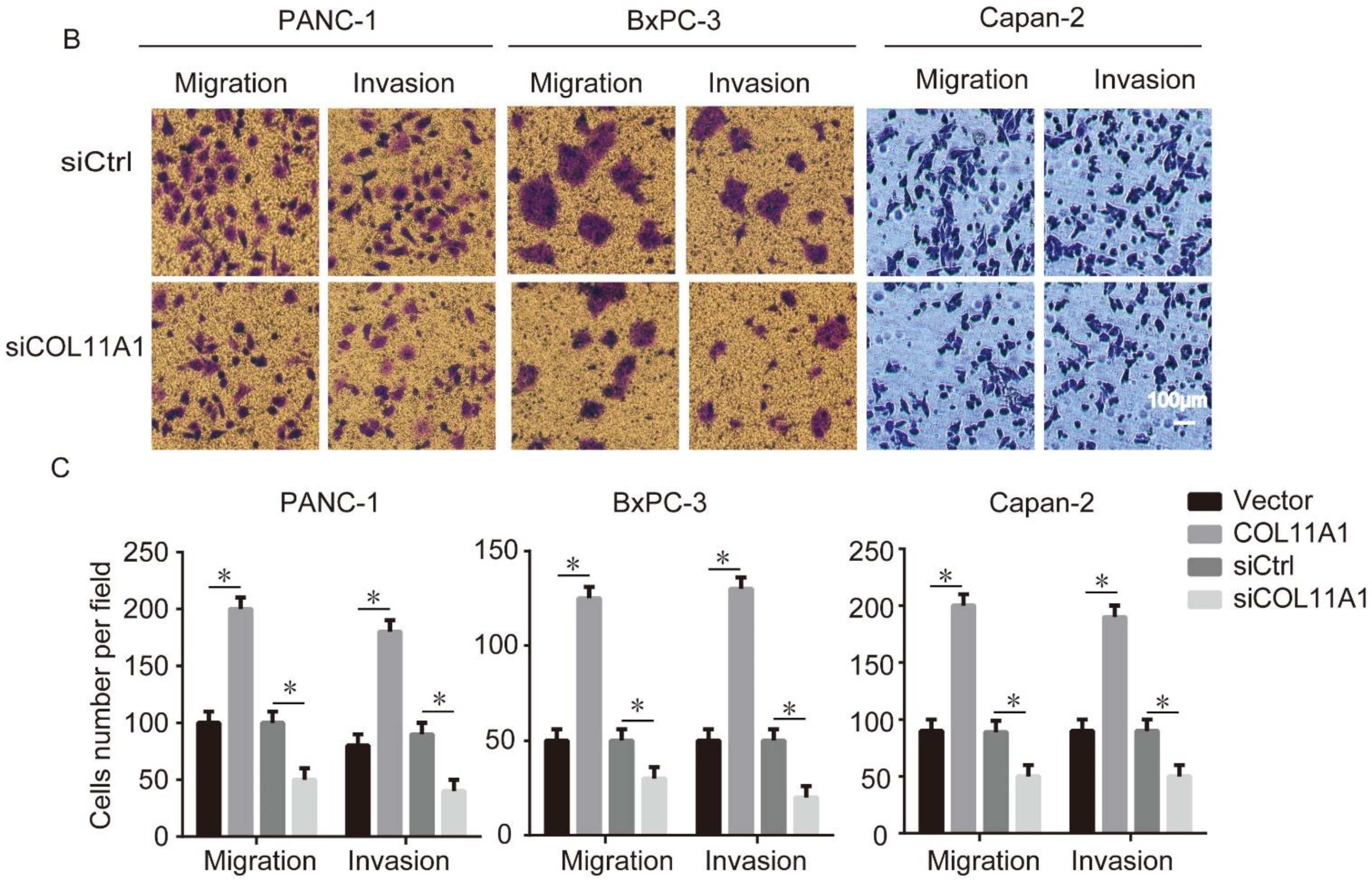 Biomolecules 12 00391 g001b Biomolecules 12 00391 g001b