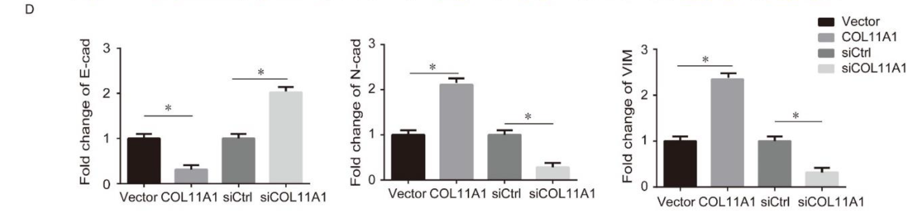 Biomolecules 12 00391 g002b Biomolecules 12 00391 g002b