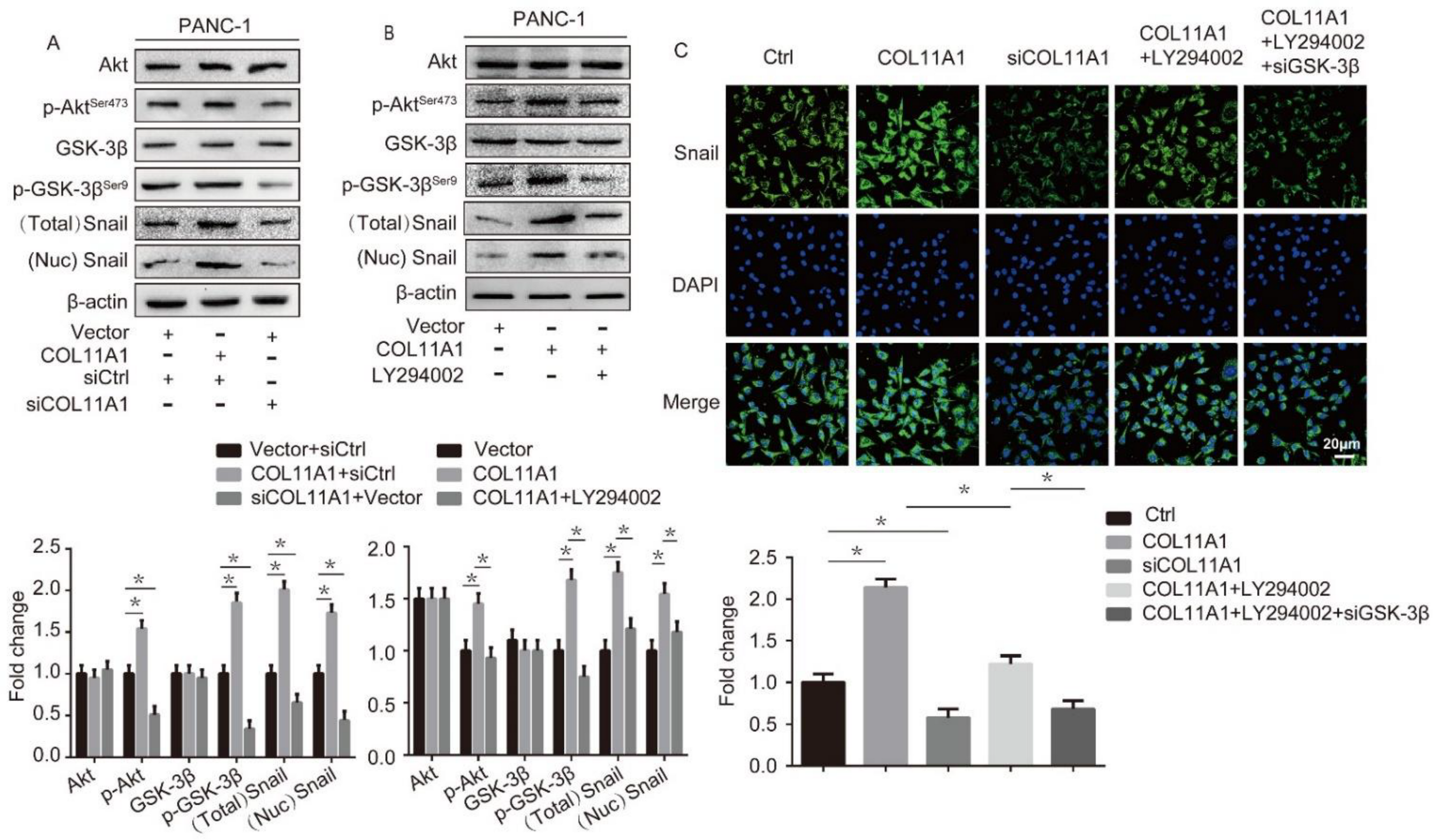 Biomolecules 12 00391 g003 Biomolecules 12 00391 g003