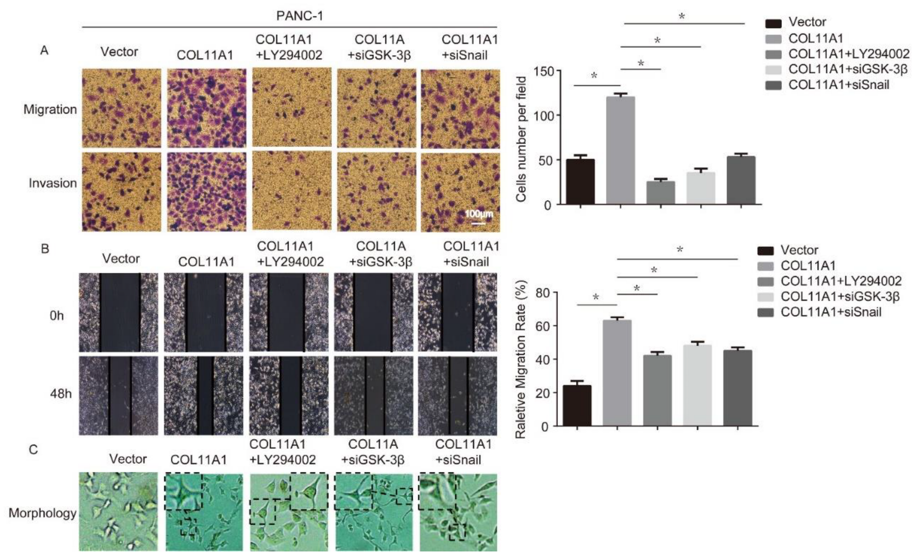 Biomolecules 12 00391 g004 Biomolecules 12 00391 g004