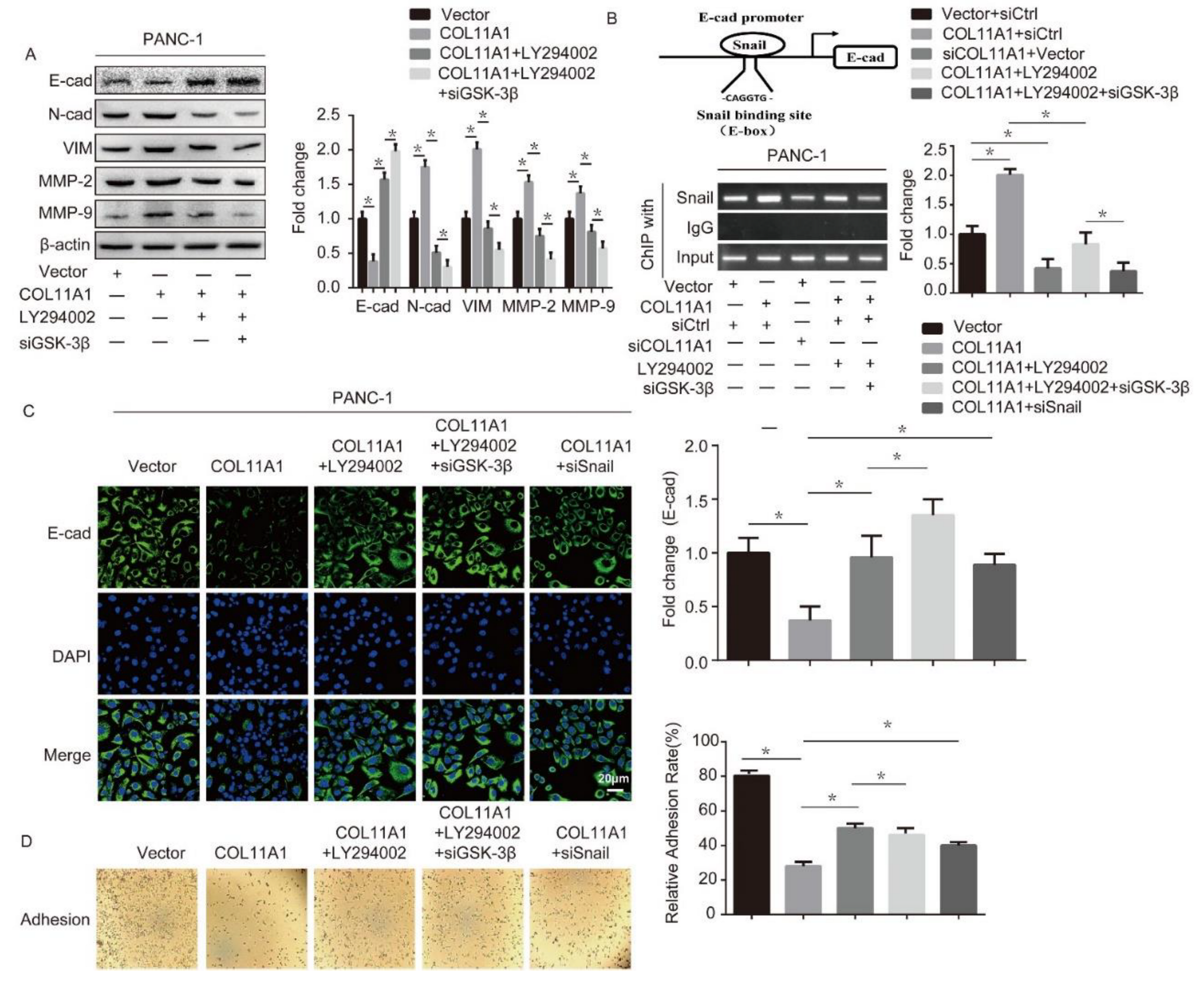 Biomolecules 12 00391 g005 Biomolecules 12 00391 g005