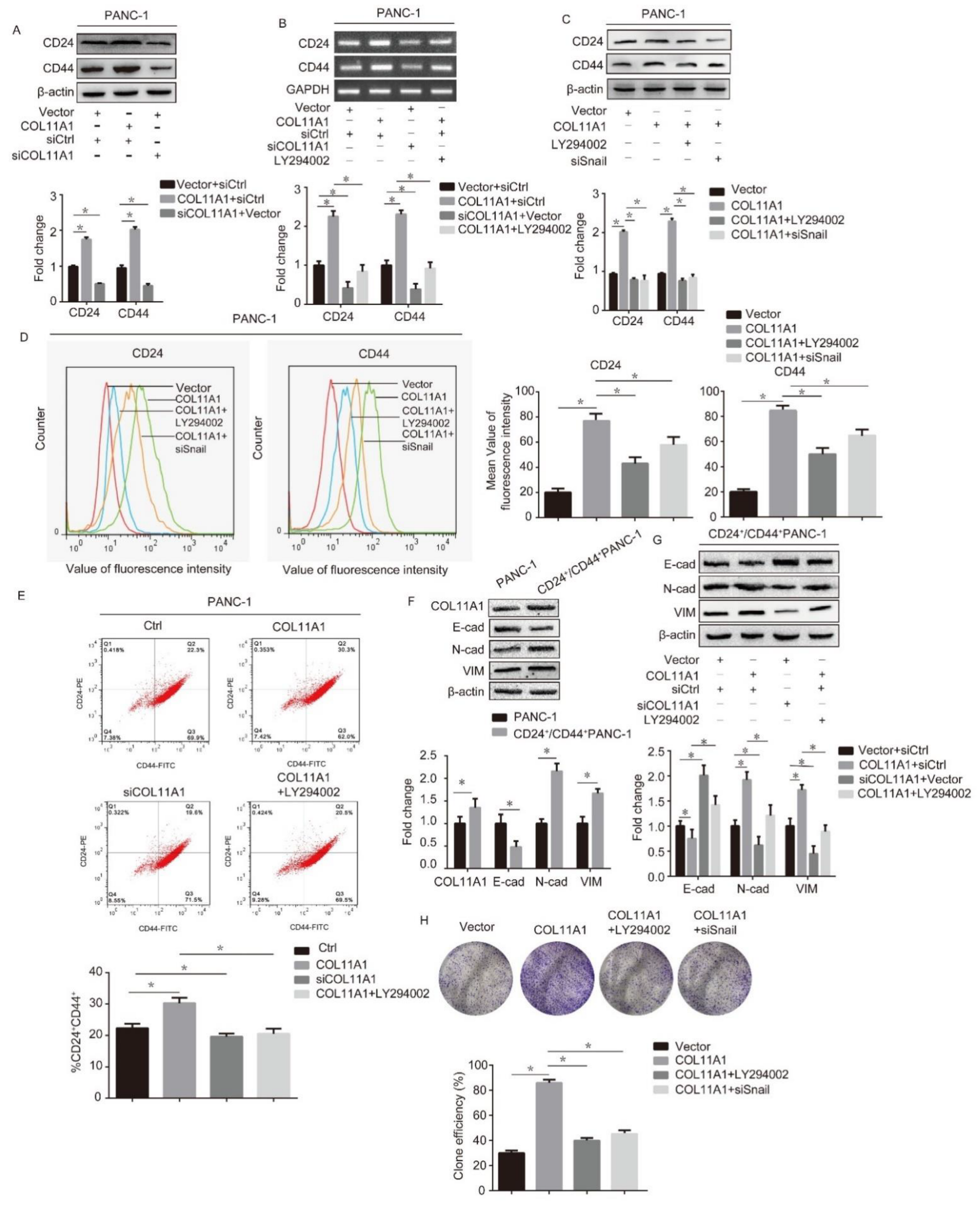 Biomolecules 12 00391 g006 Biomolecules 12 00391 g006