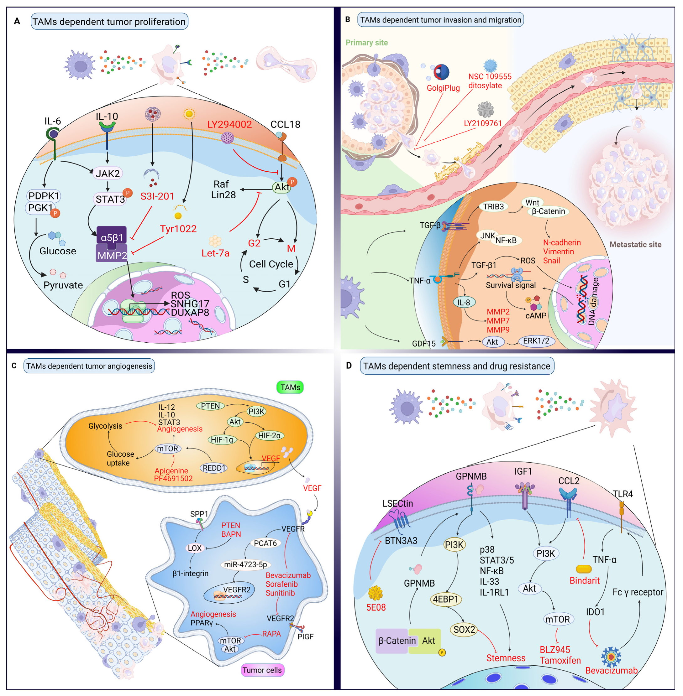 Biomolecules 12 00392 g002