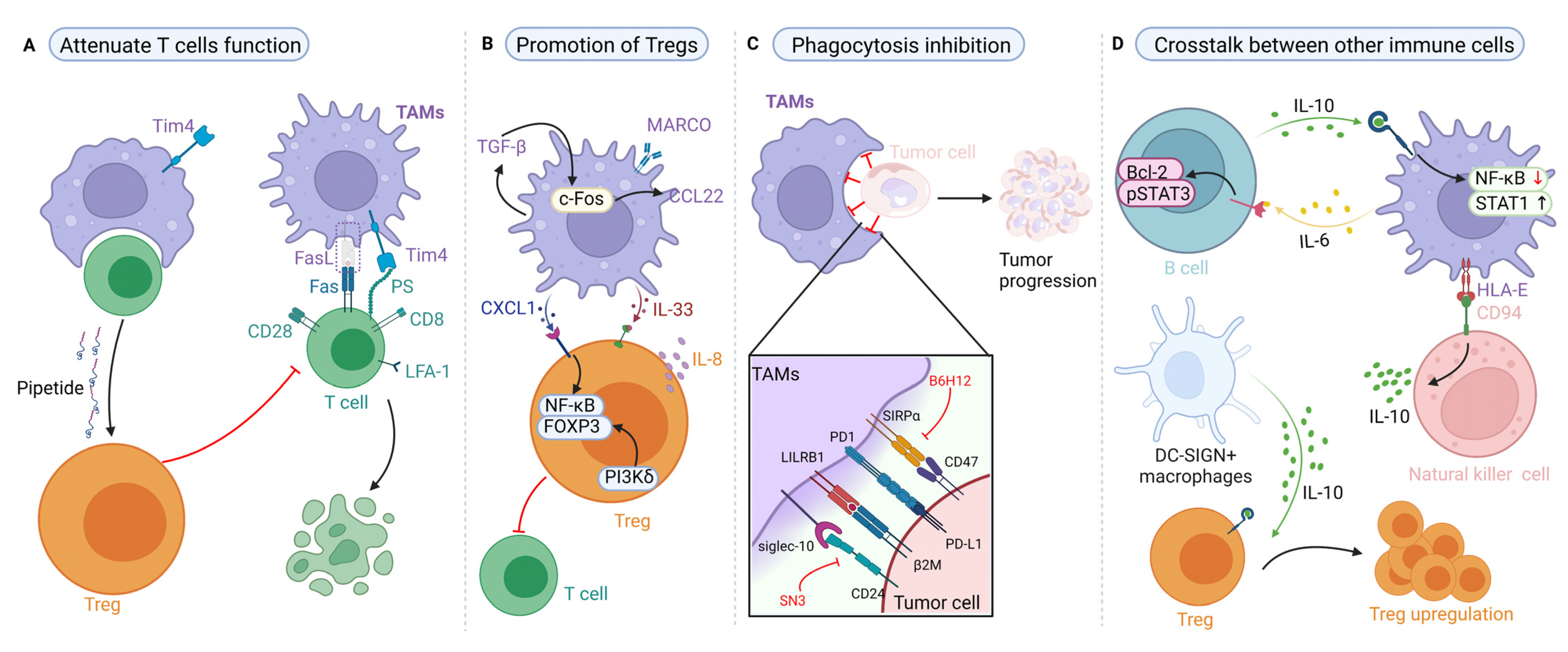 Biomolecules 12 00392 g003