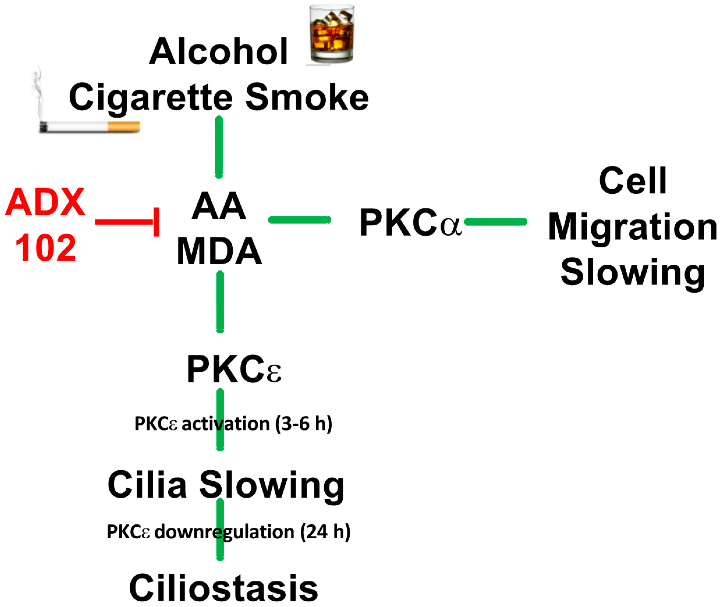 Biomolecules 12 00393 g008 Biomolecules 12 00393 g008