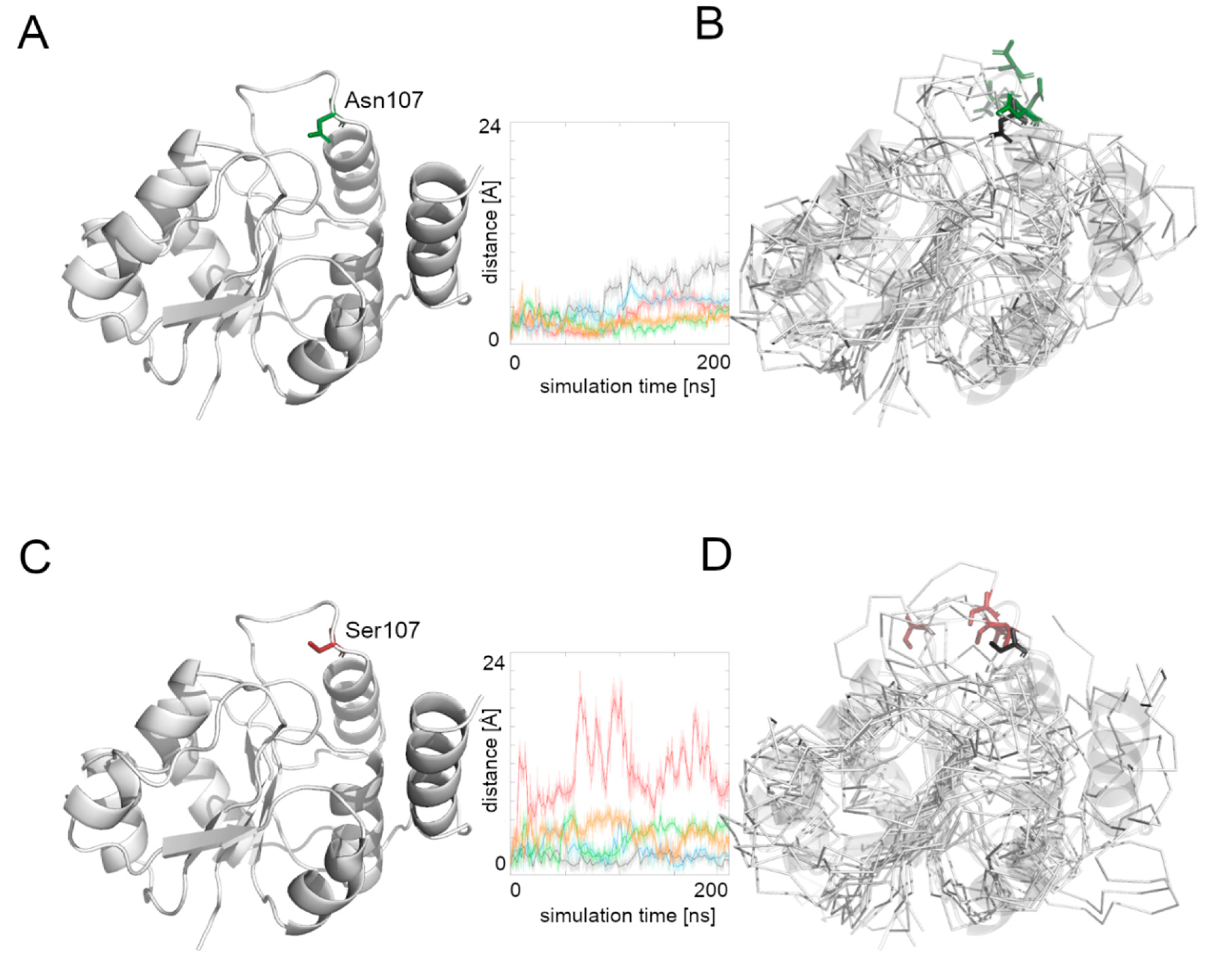 Biomolecules 12 00398 g004