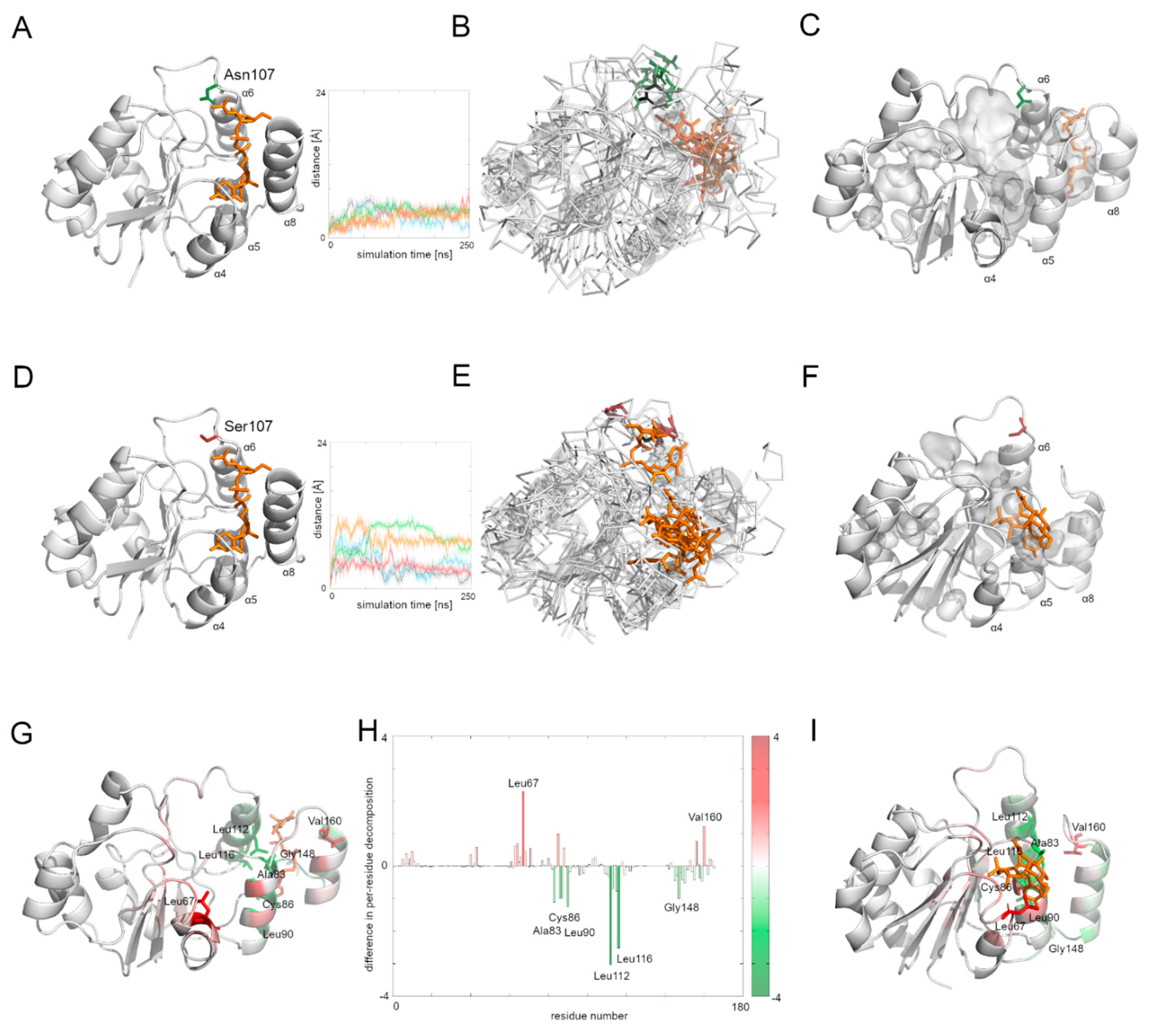 Biomolecules 12 00398 g005