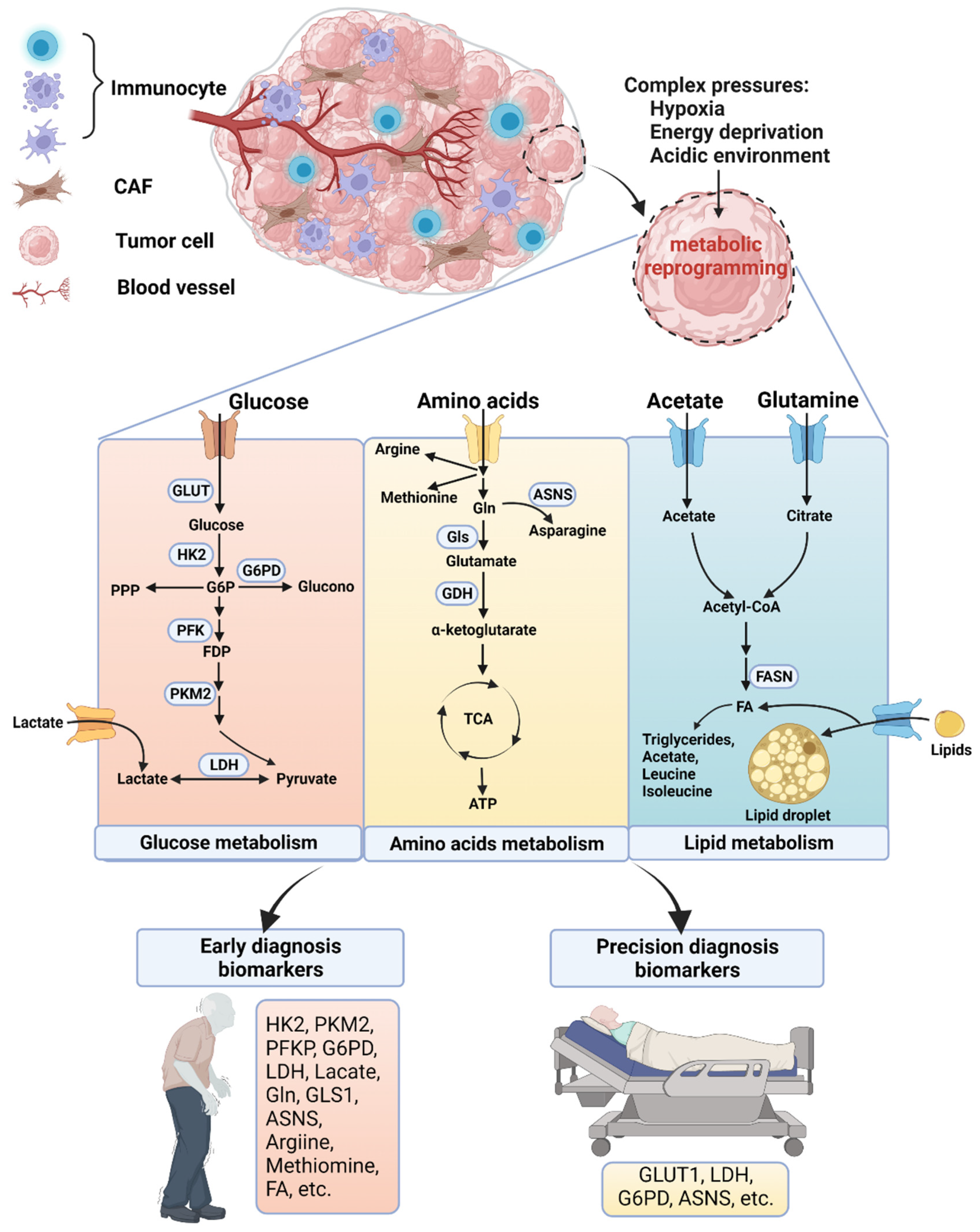 Biomolecules 12 00400 g001