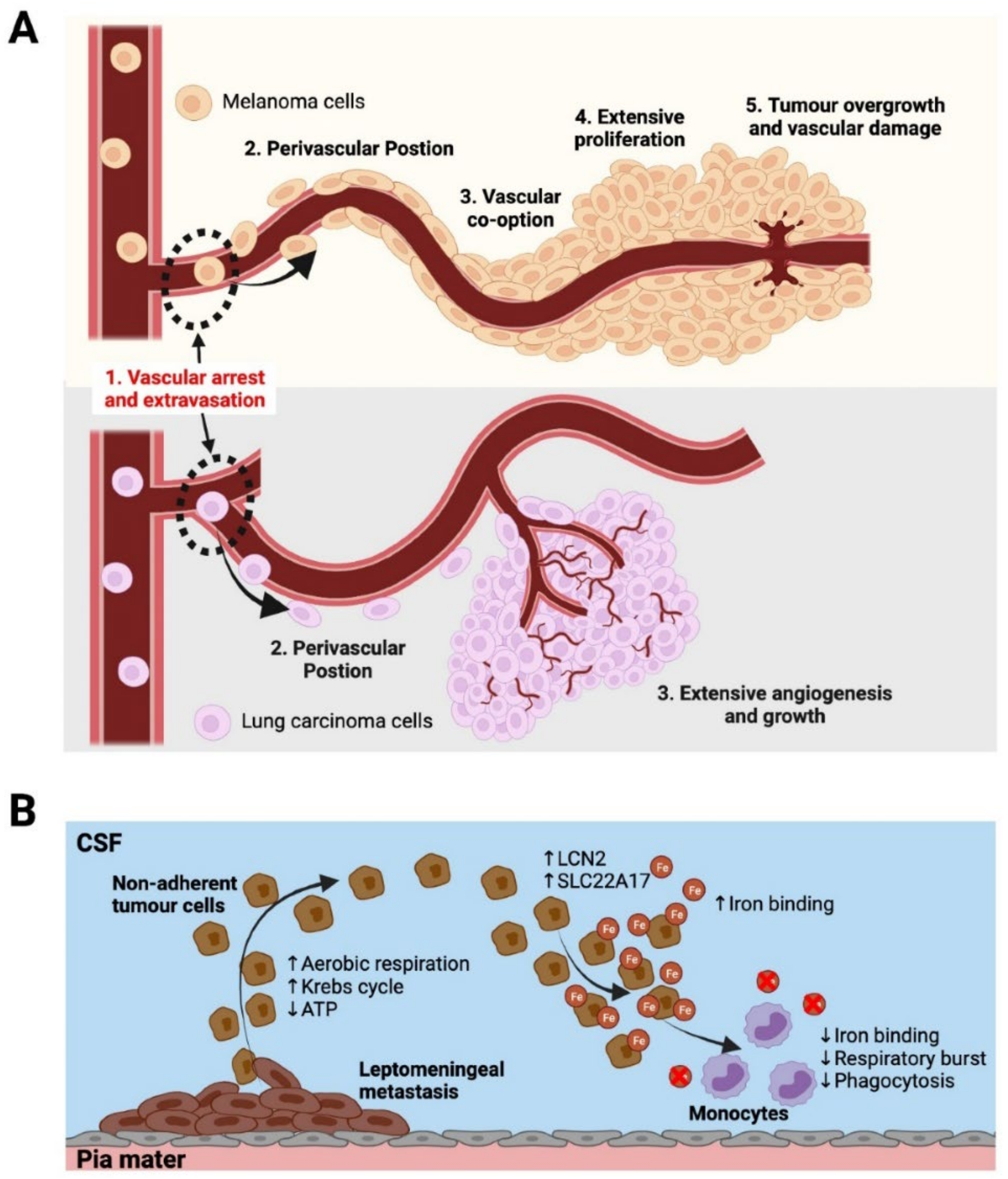Biomolecules 12 00401 g003 Biomolecules 12 00401 g003