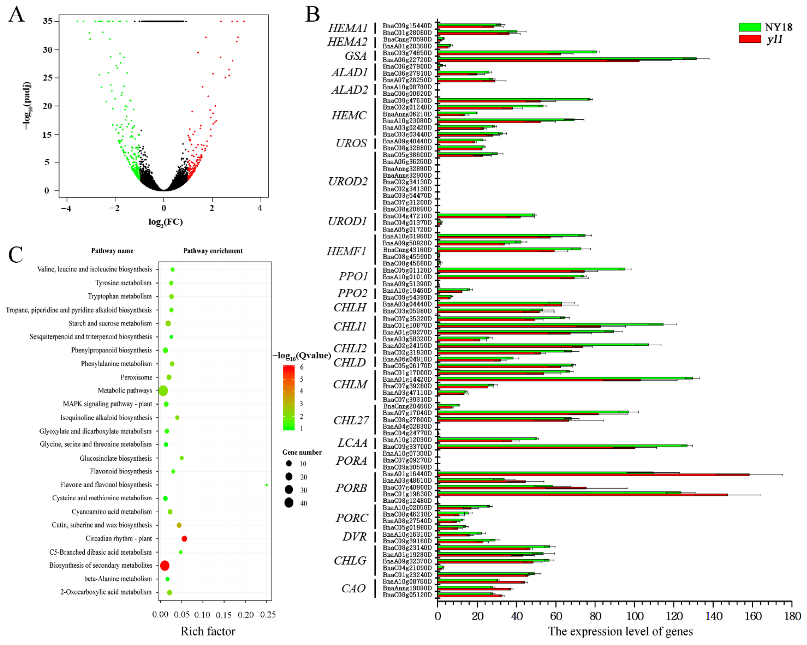 Biomolecules 12 00402 g004