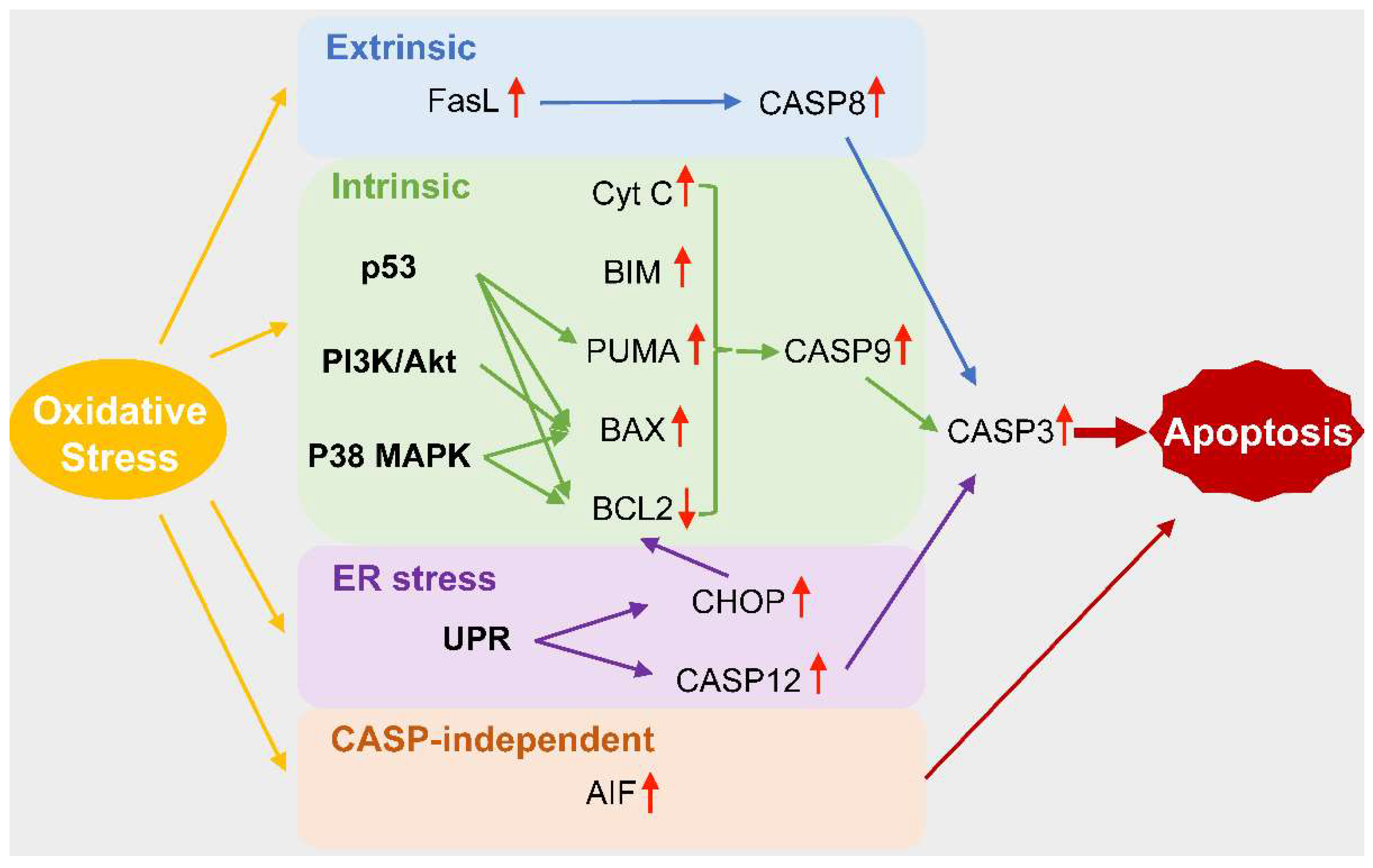 Biomolecules 12 00403 g002