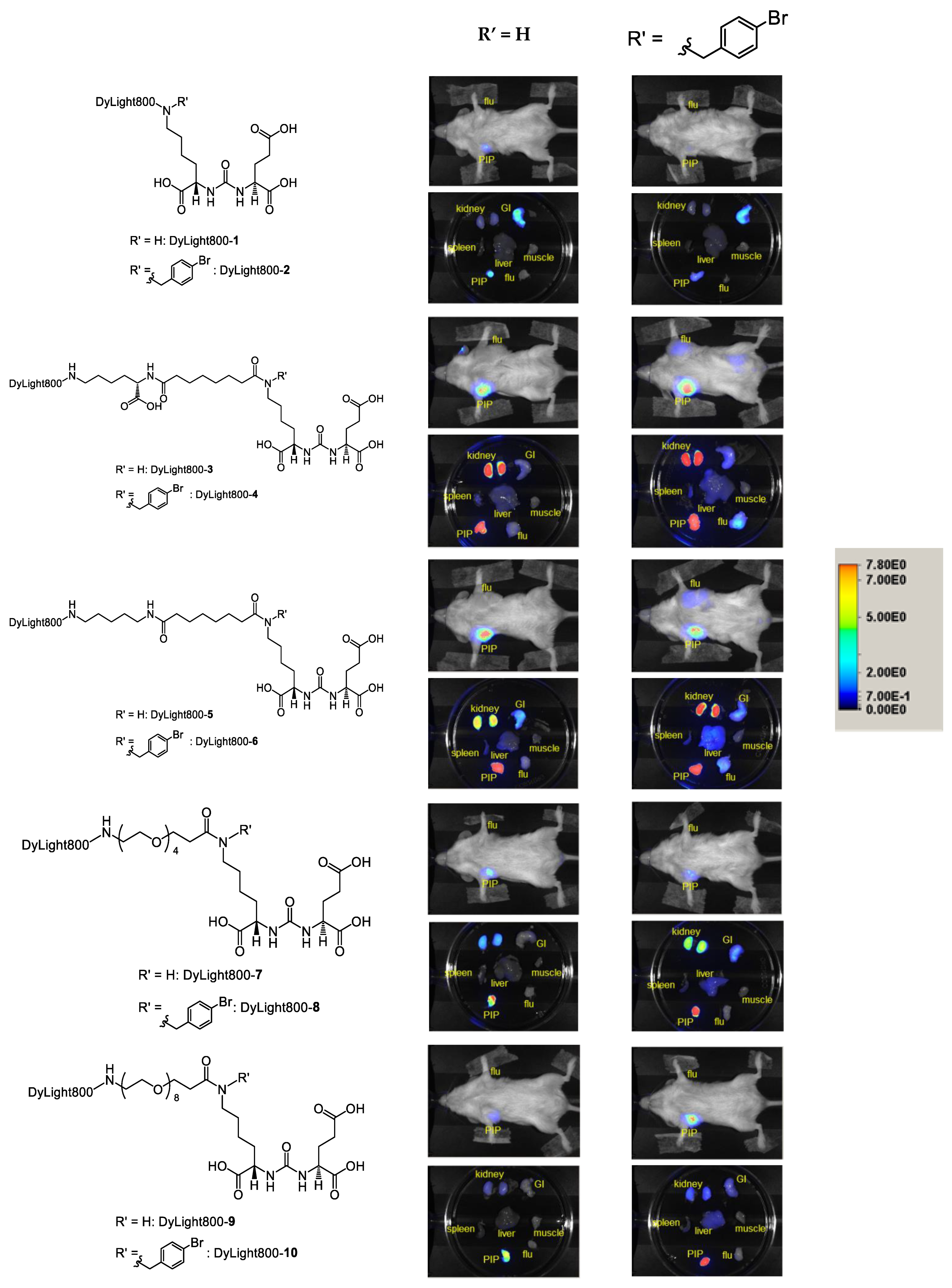 Biomolecules 12 00405 g001