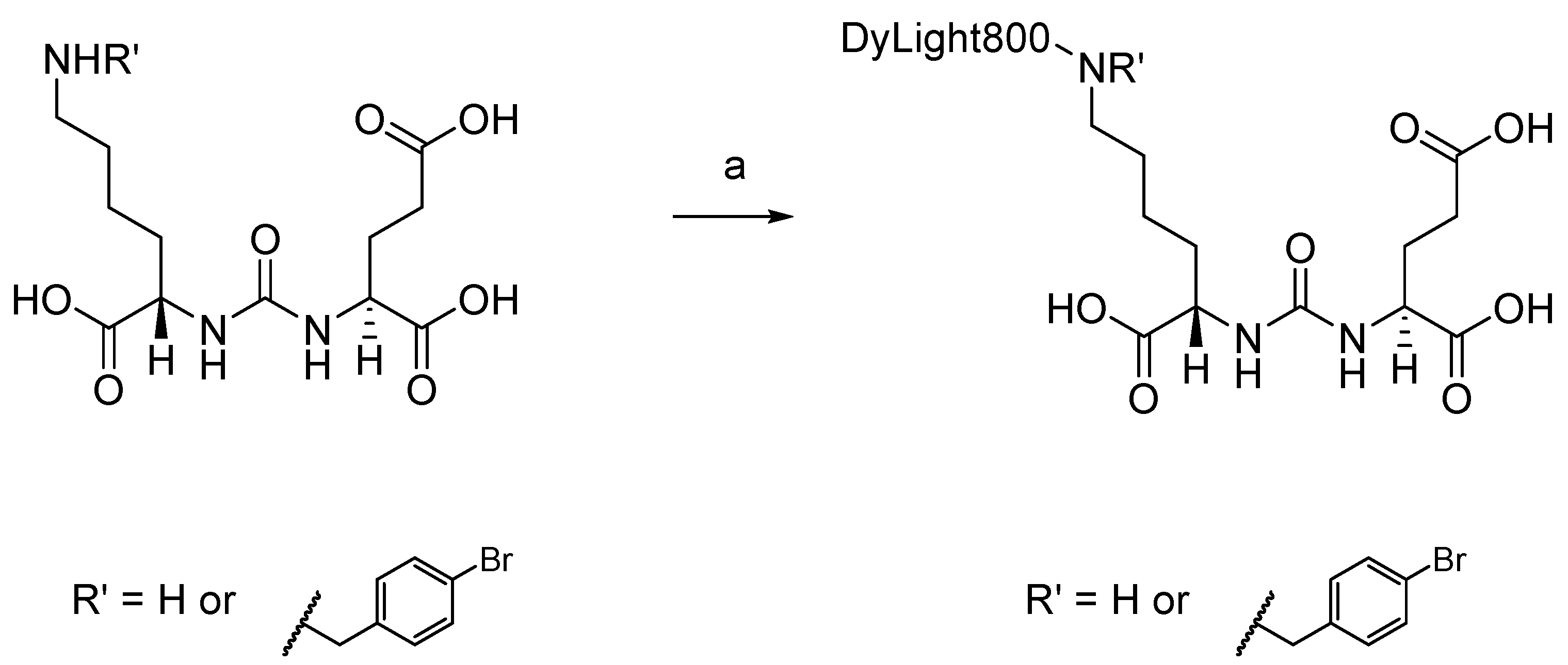 Biomolecules 12 00405 sch001