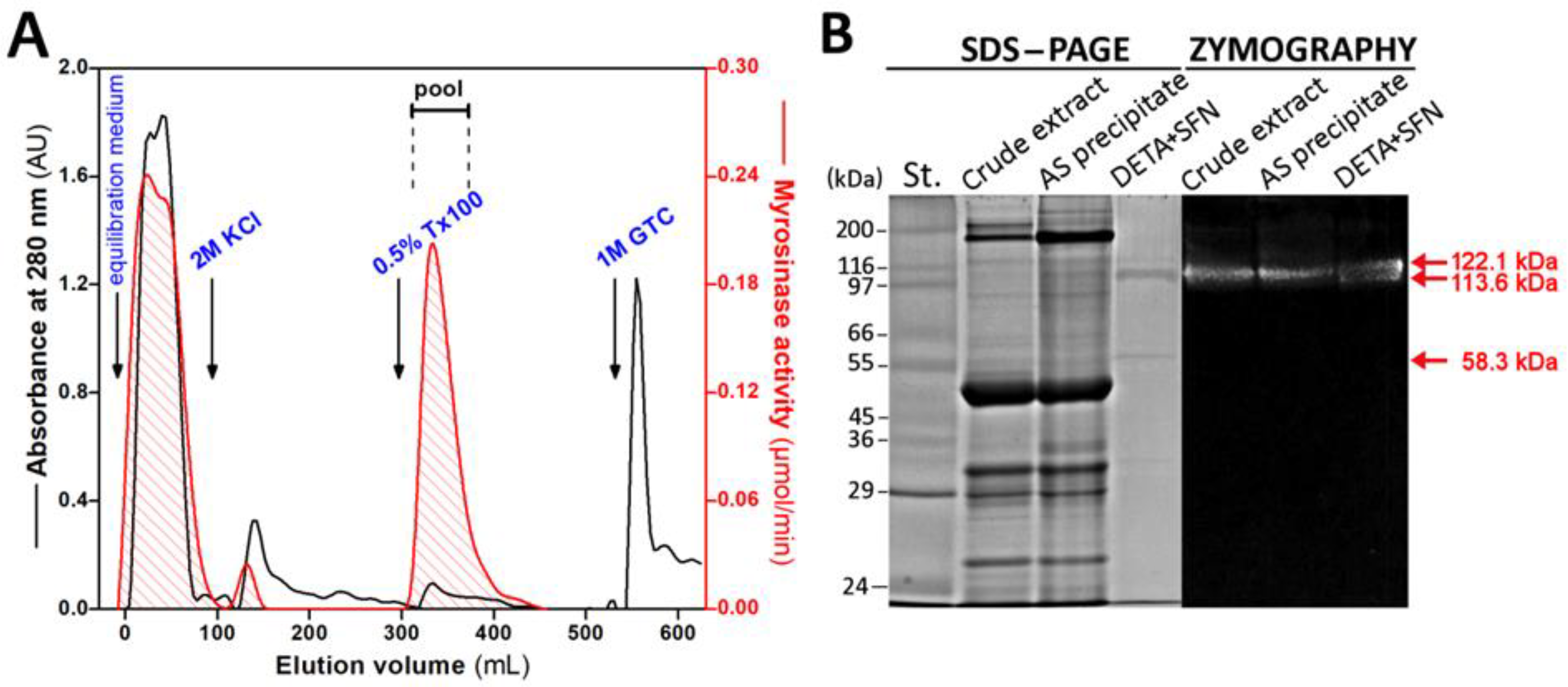 Biomolecules 12 00406 g003 550