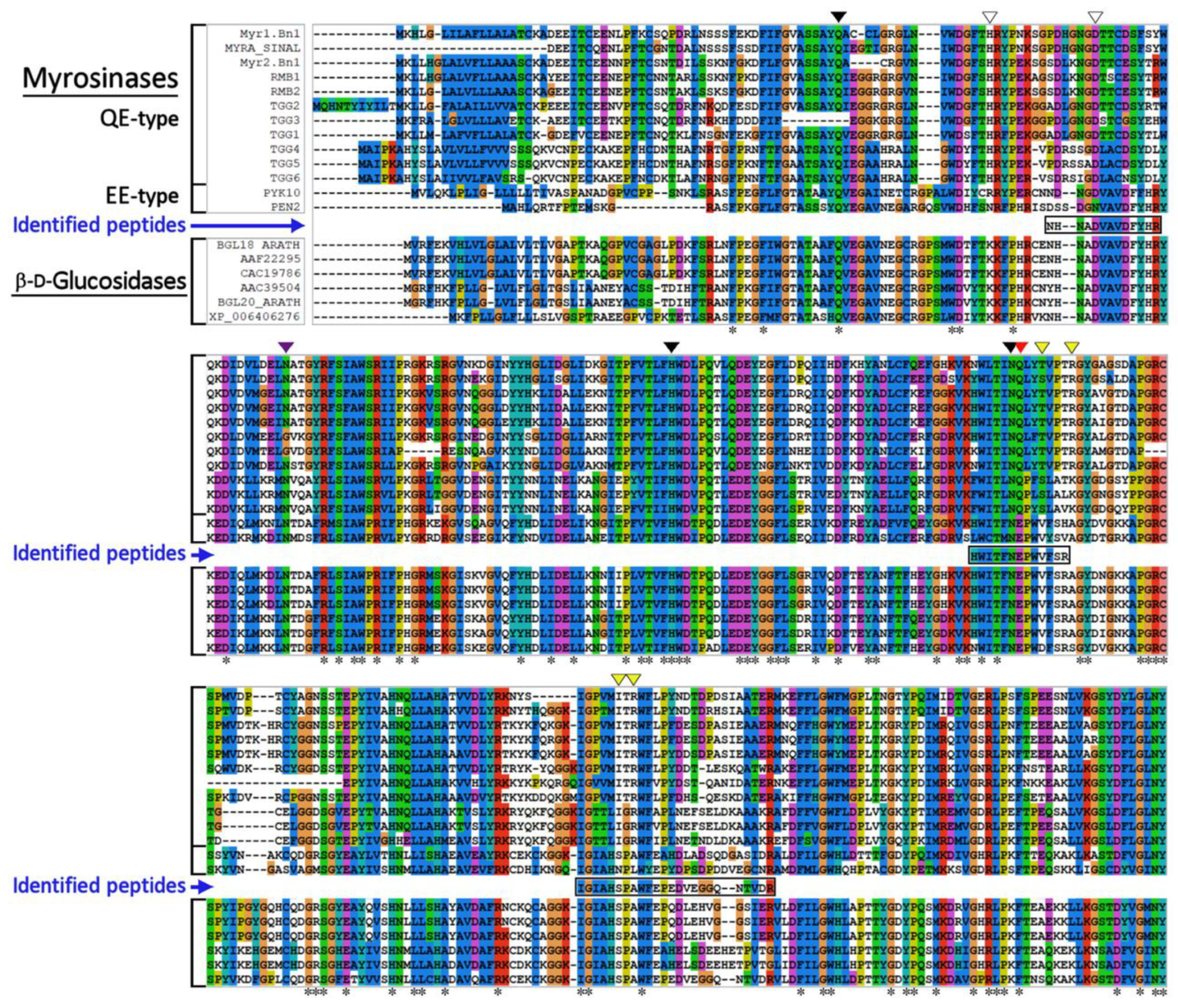 Biomolecules 12 00406 g004 550