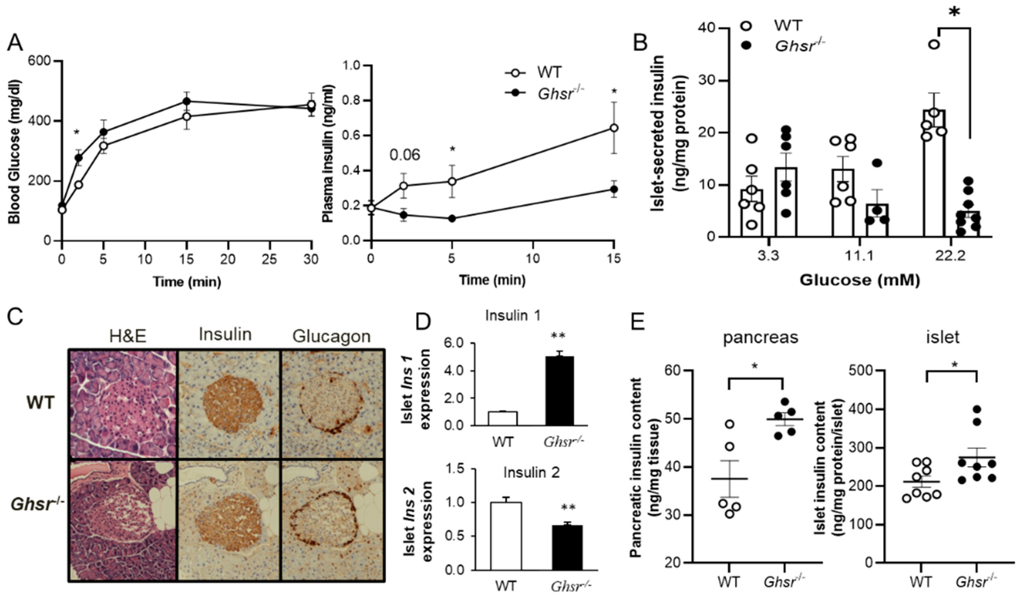 Biomolecules 12 00407 g001