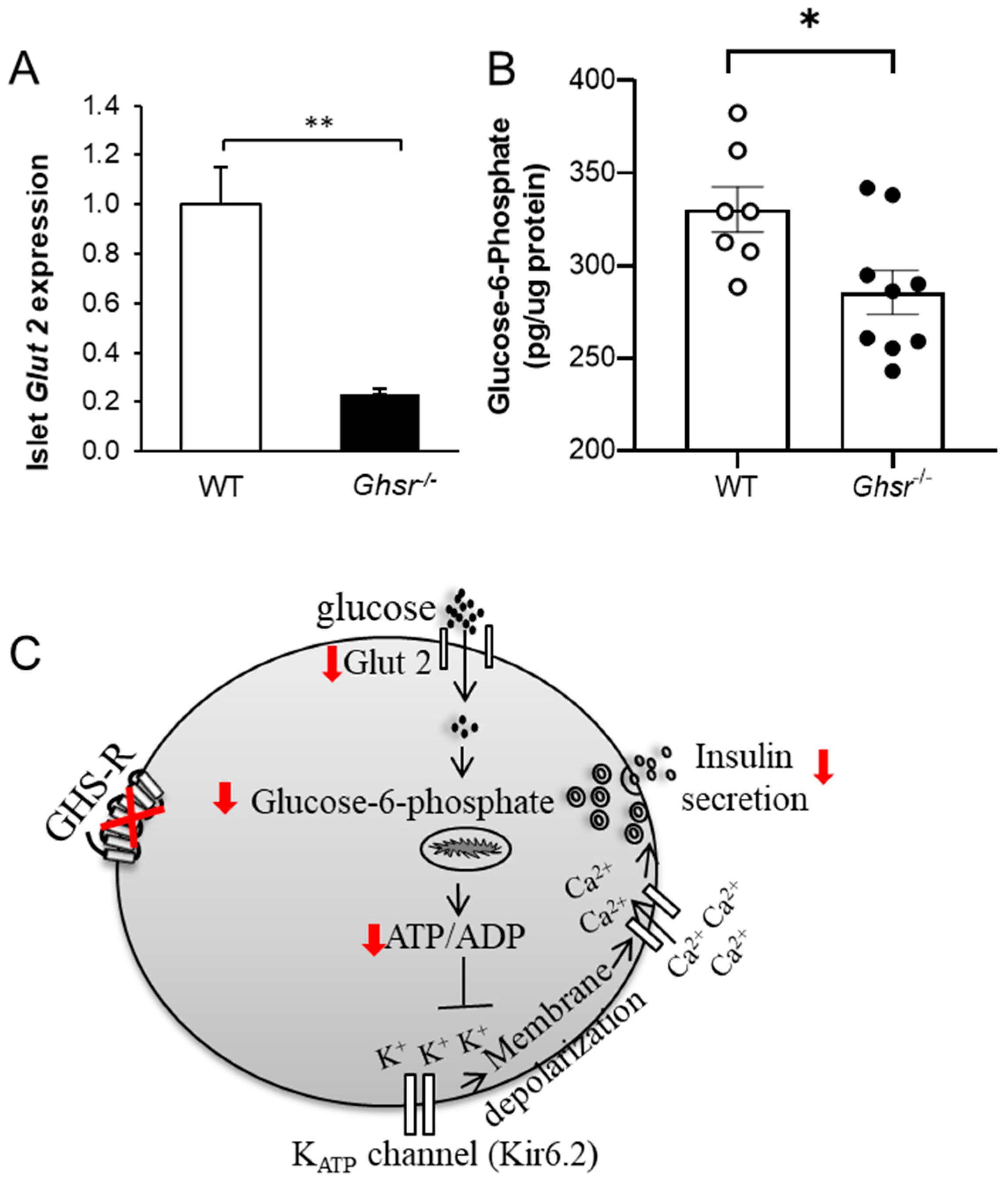 Biomolecules 12 00407 g003