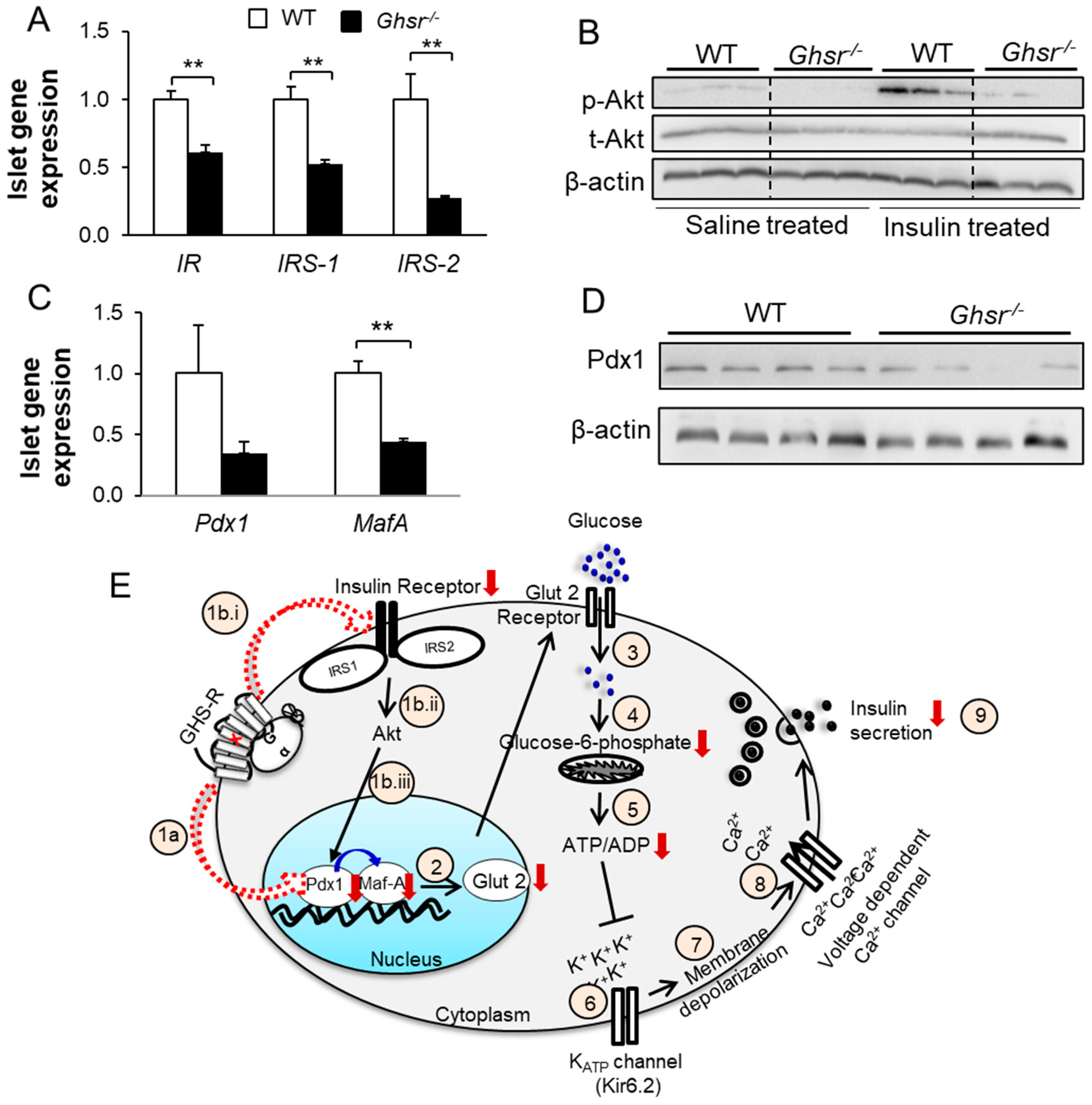 Biomolecules 12 00407 g004